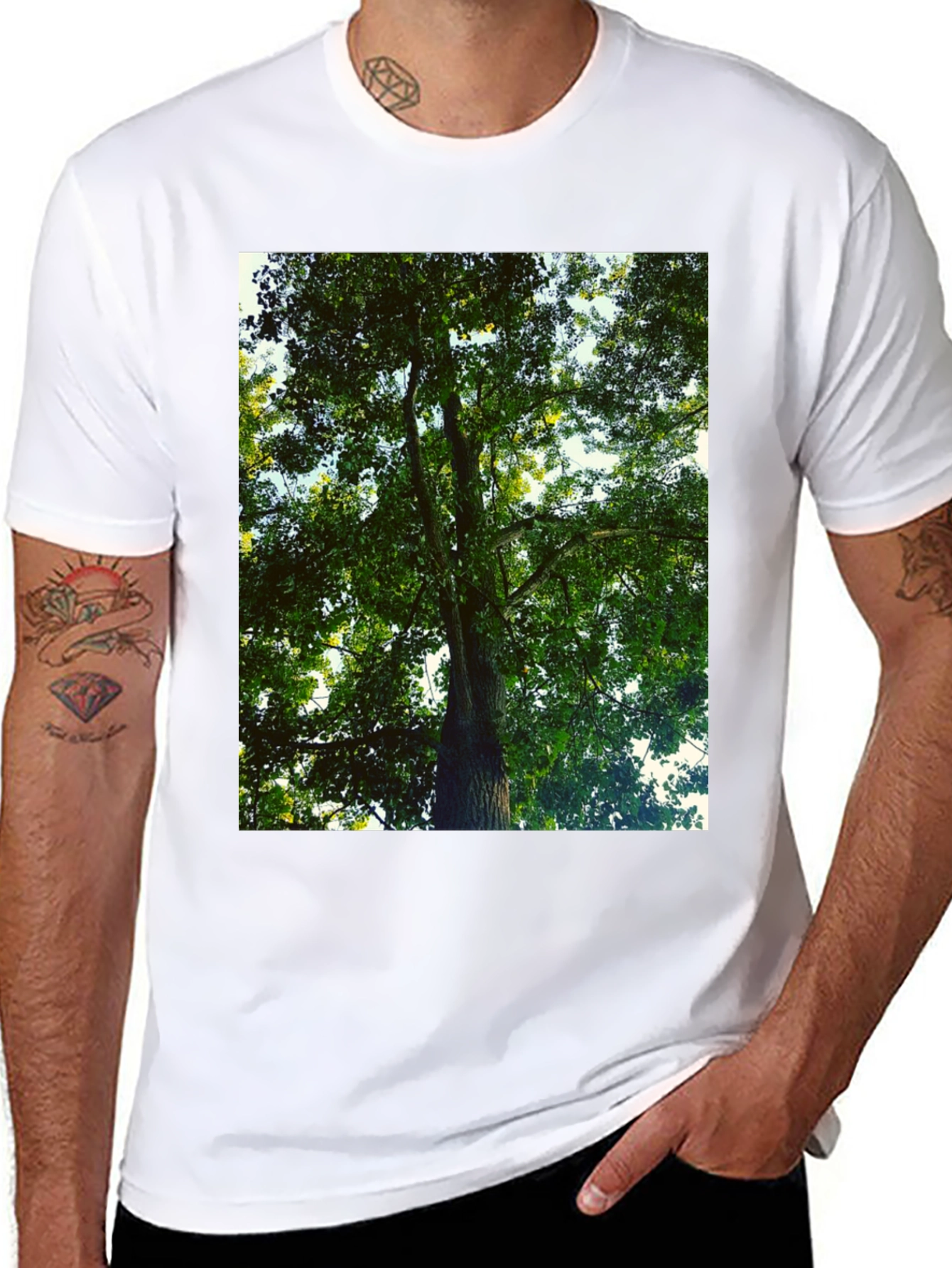 Black Nature Tree Graphic Tee - Black Cotton T-Shirt view 8