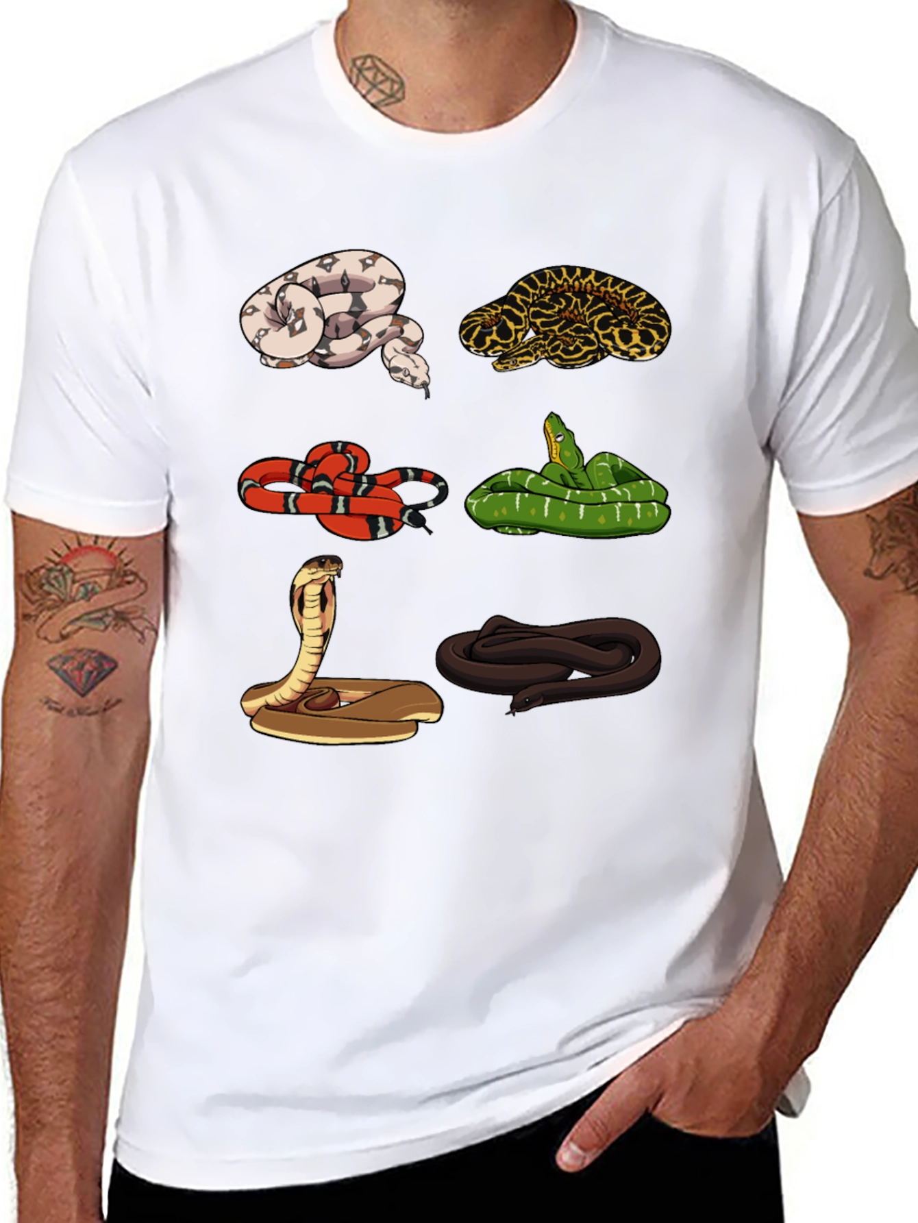 Black Snake Variety Graphic Tee - Reptile Lover Shirt view 8