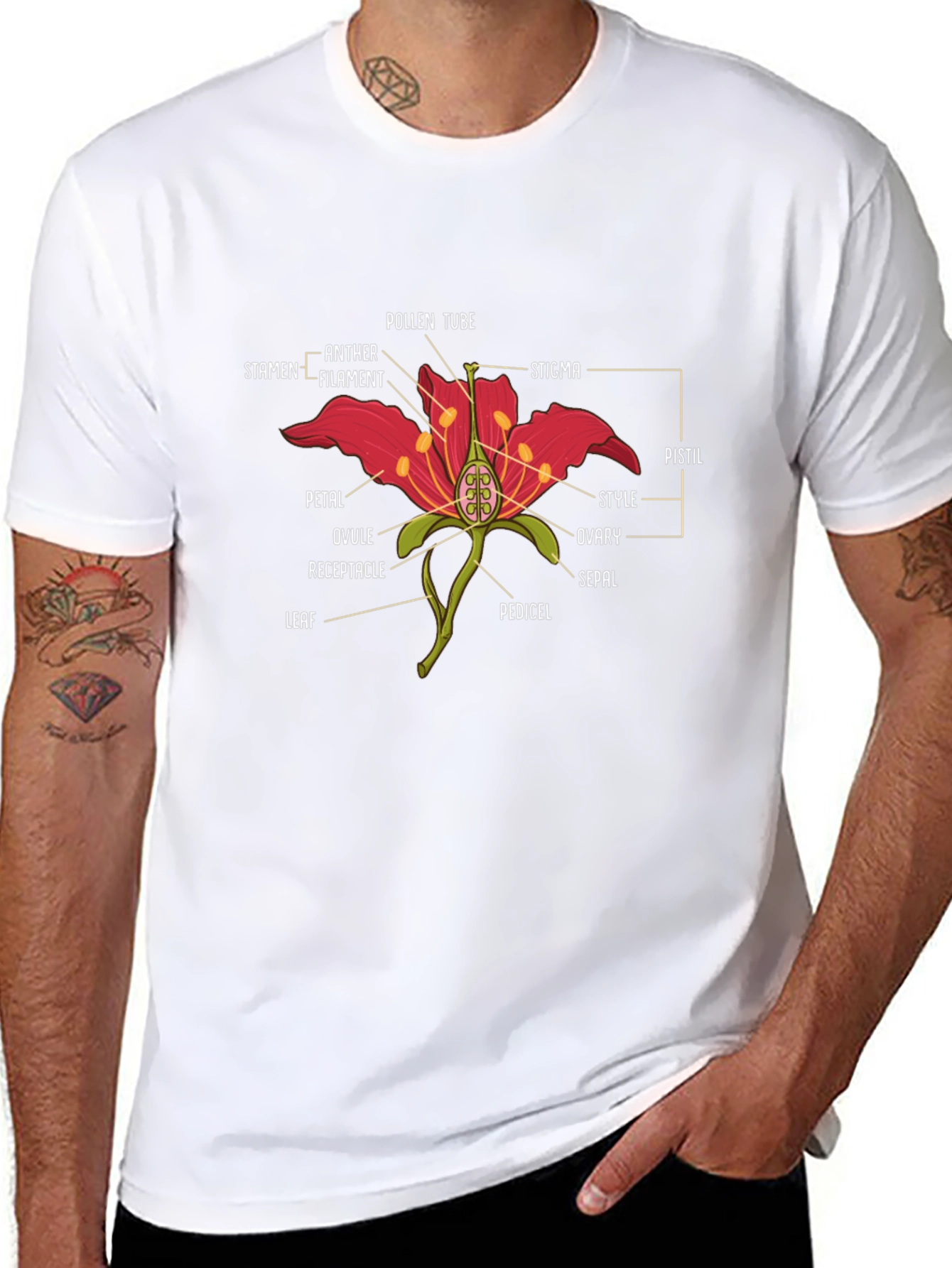 Black Anatomy of a Flower Graphic T-Shirt view 8