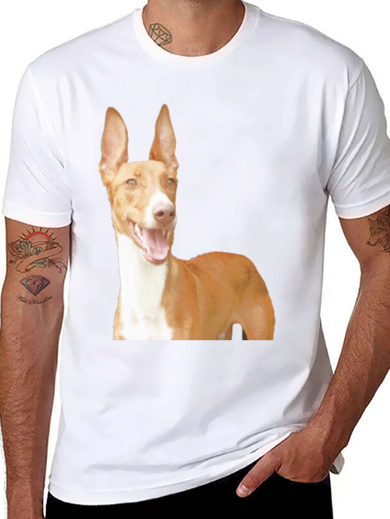 Black Dog Breed Graphic Tee - Ibizan Hound on Black Shirt view 8