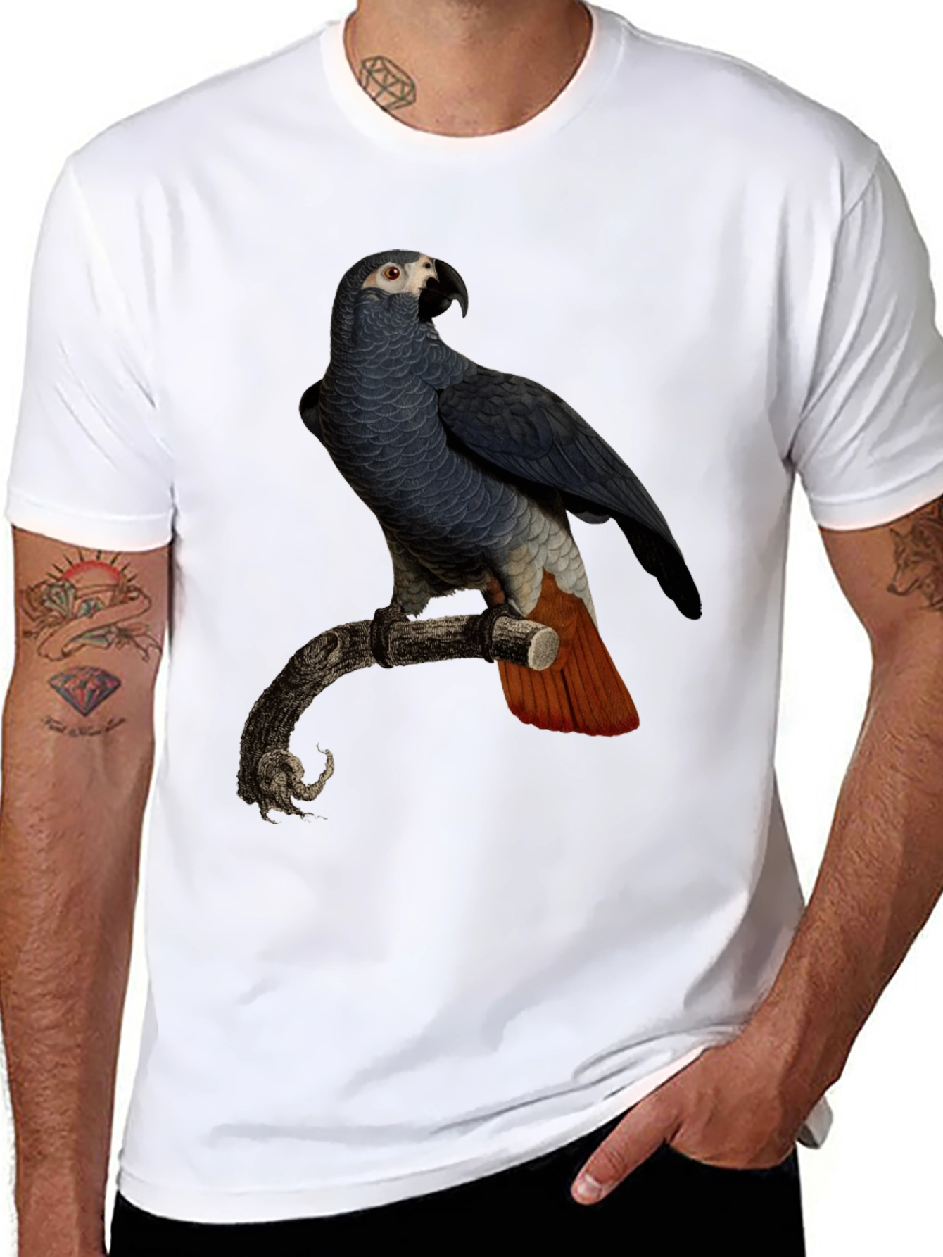 Black Parrot Graphic T-Shirt - Men's Black Tee view 8