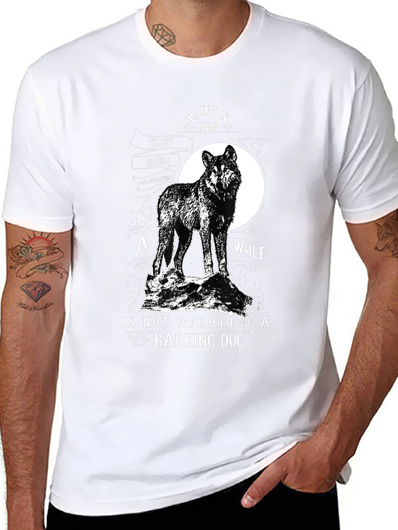Black Wolf Graphic Tee - Lupus Non Timet Canem - Black Cotton view 8