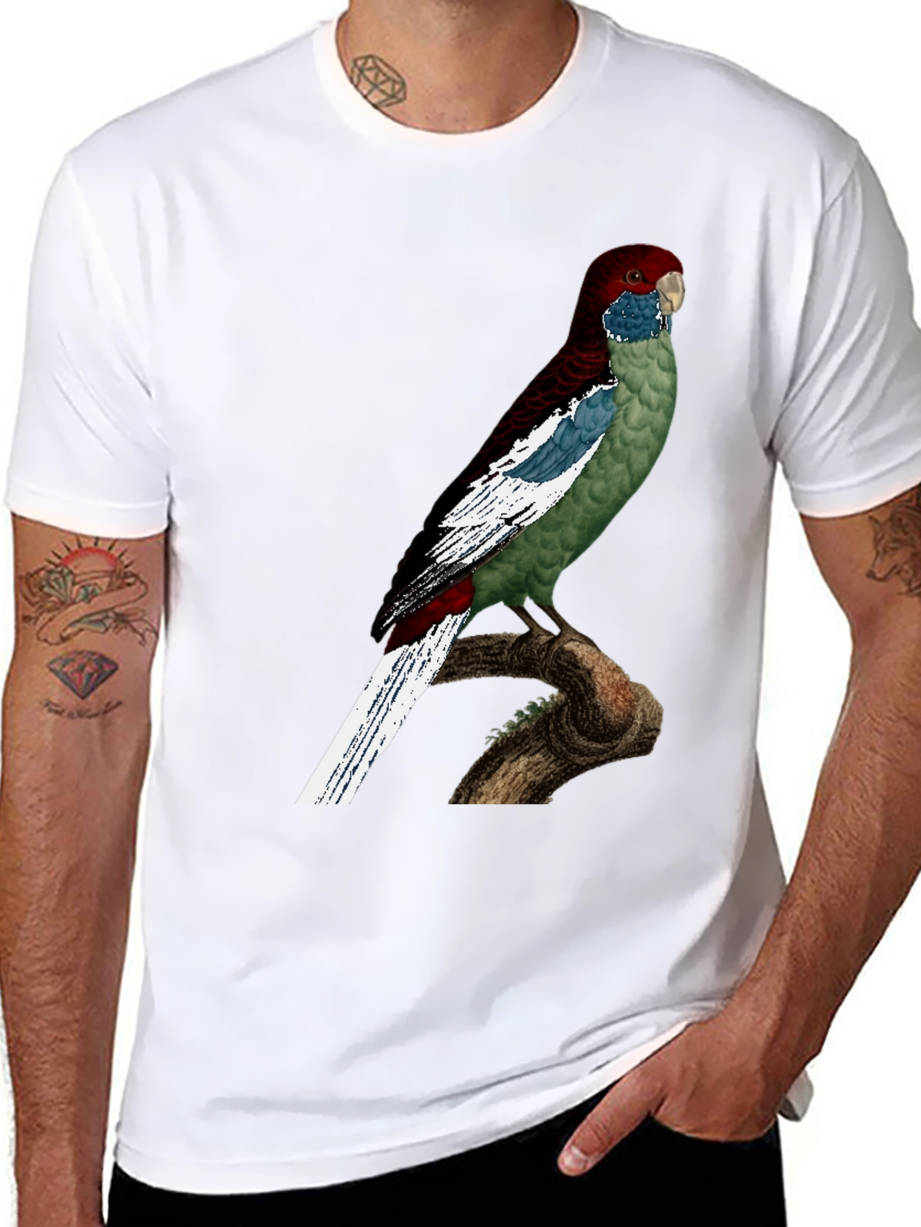 Black Parrot Graphic T-Shirt - Unique Bird Design view 8