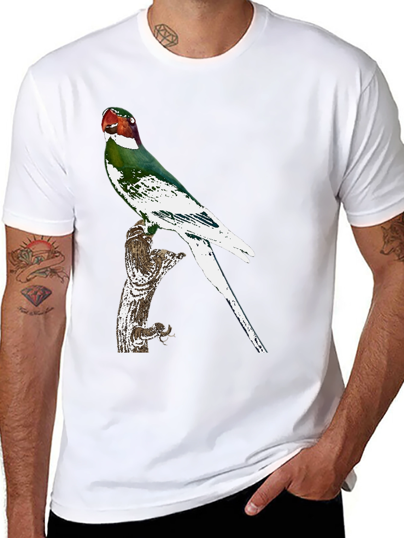 Black Parrot Graphic Tee - Black Cotton T-Shirt view 8