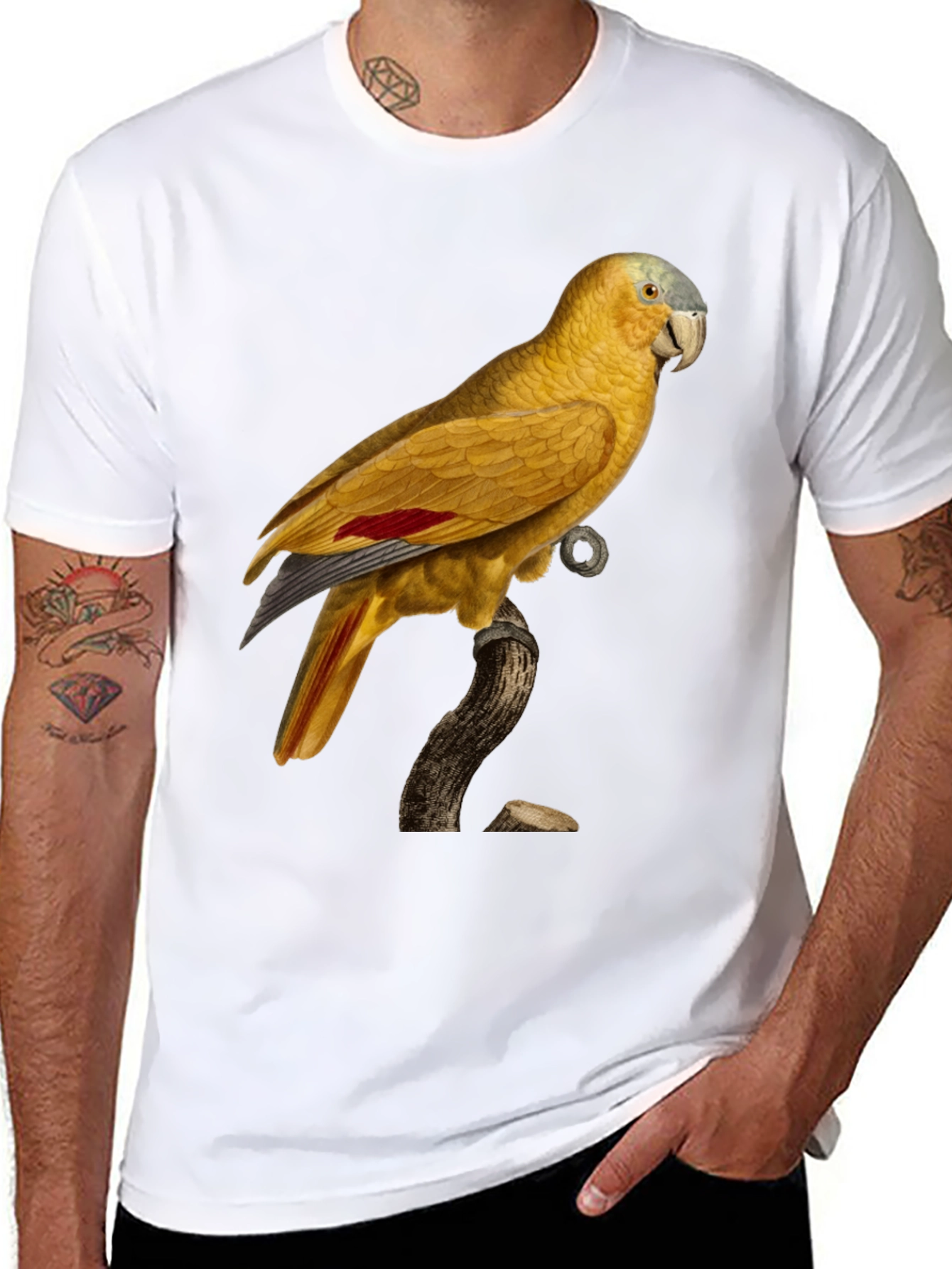 Black Parrot Graphic Black T-Shirt view 8