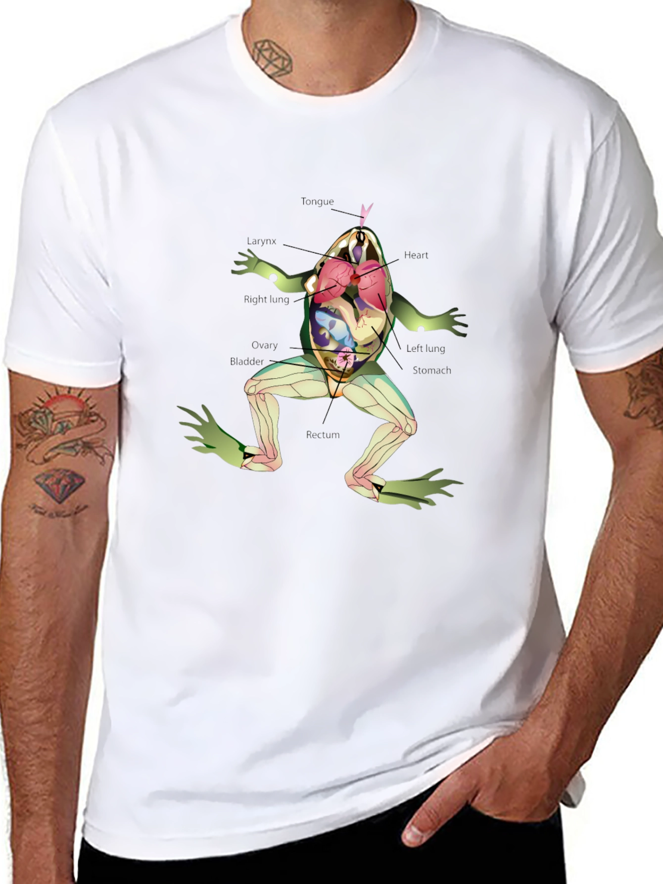 Black Anatomy Frog T-Shirt view 8