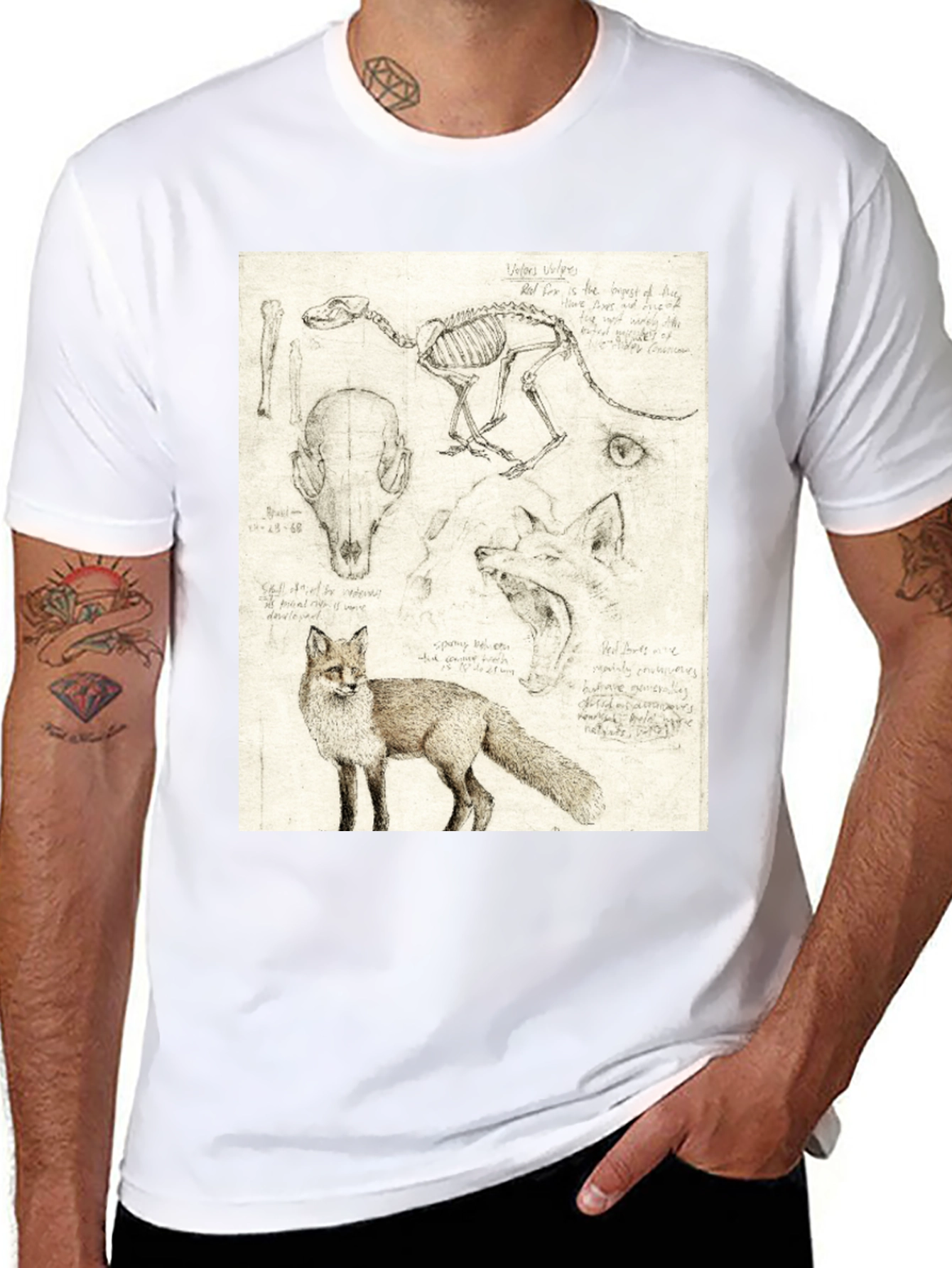 Black Anatomical Fox Print Tee - Artistic Unisex T-Shirt view 8