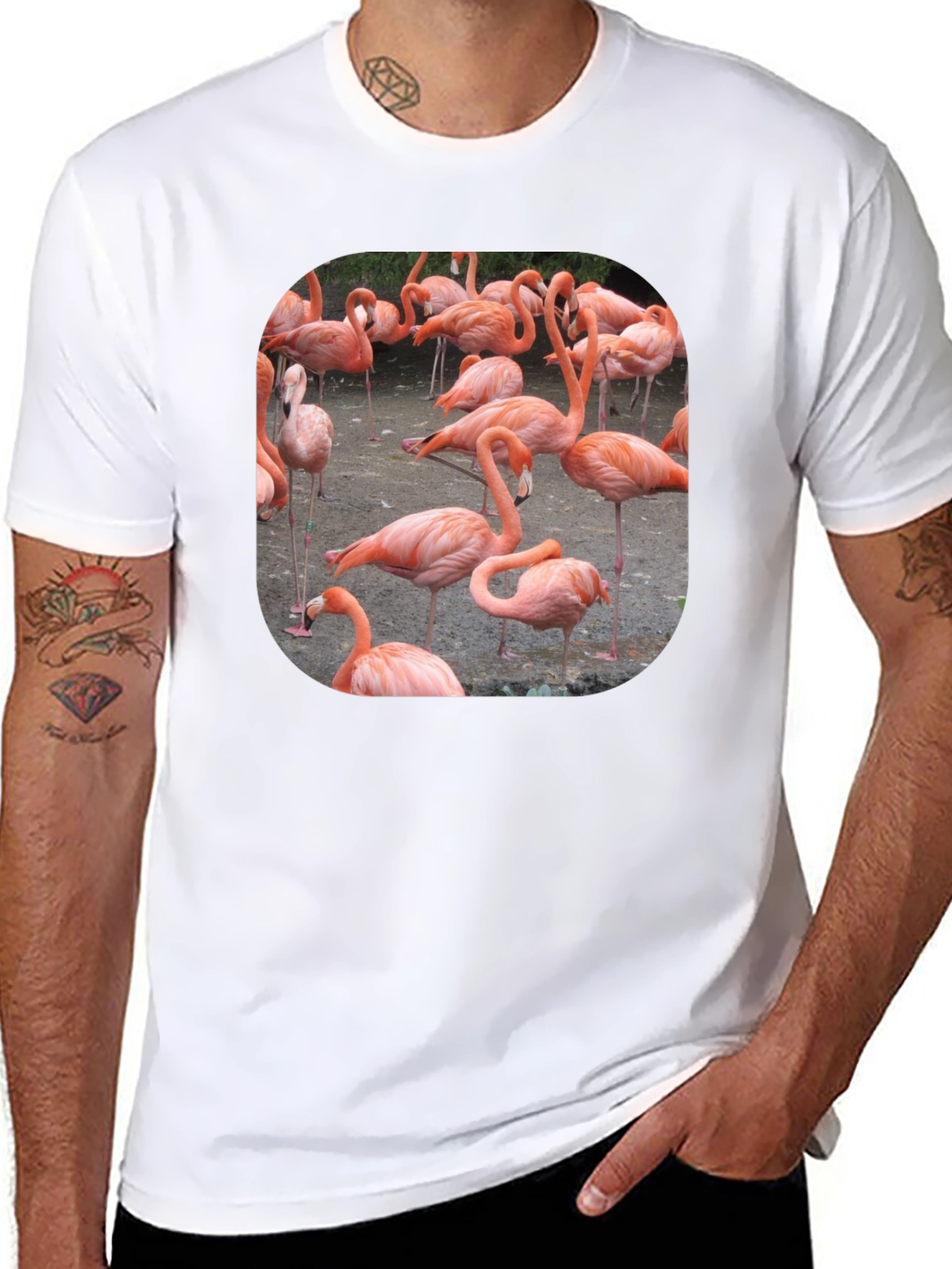 Black Flamingo Graphic Tee - Tropical Bird T-Shirt view 8