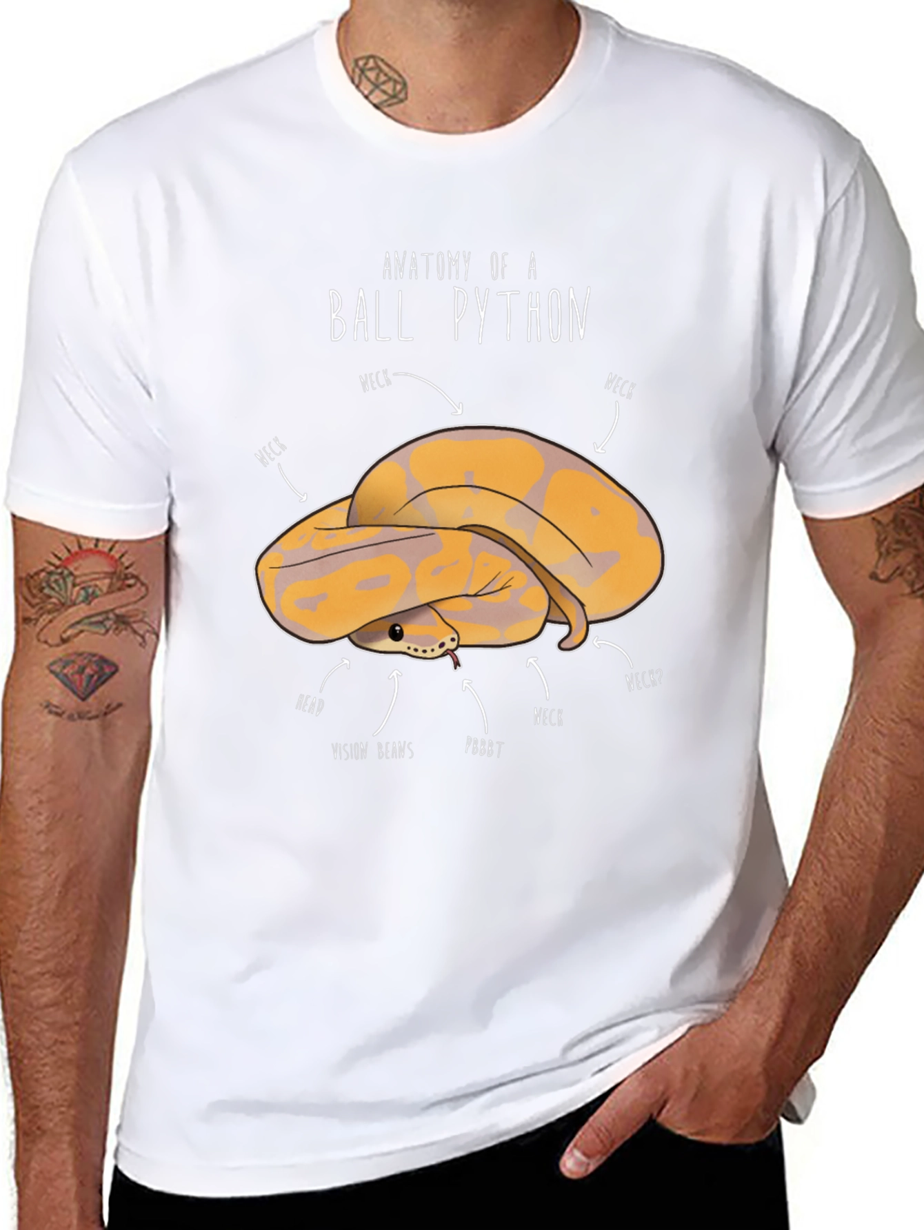 Black Anatomy of a Ball Python T-Shirt view 8