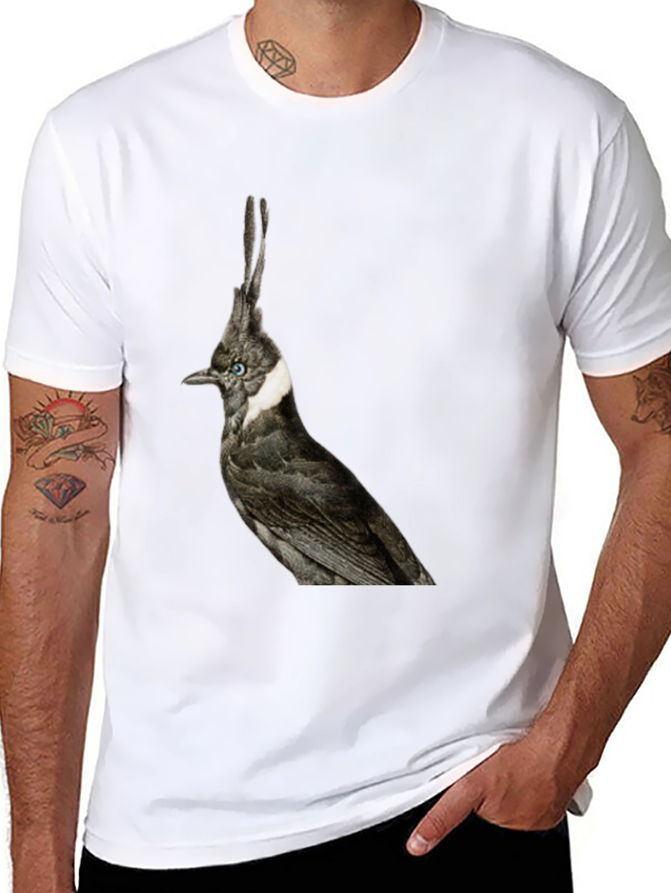 Black Crested Bird Graphic T-Shirt - Unique Style view 8