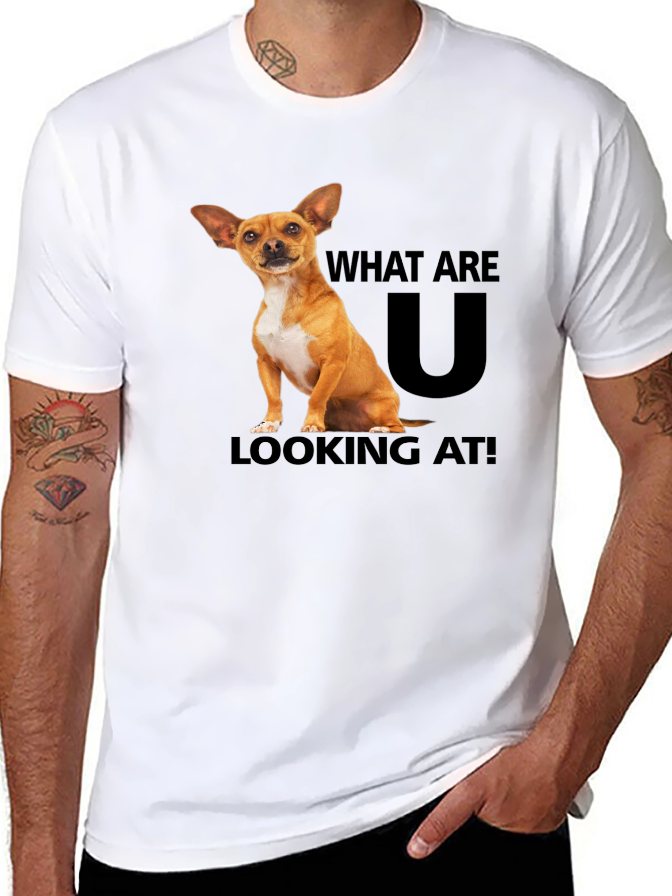 Black Dog T-Shirt: What Are You Looking At? view 8