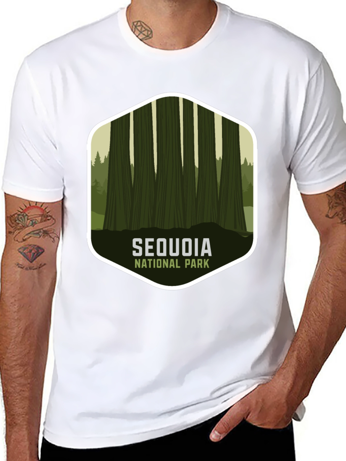 Black Sequoia National Park Graphic Tee - Black view 8