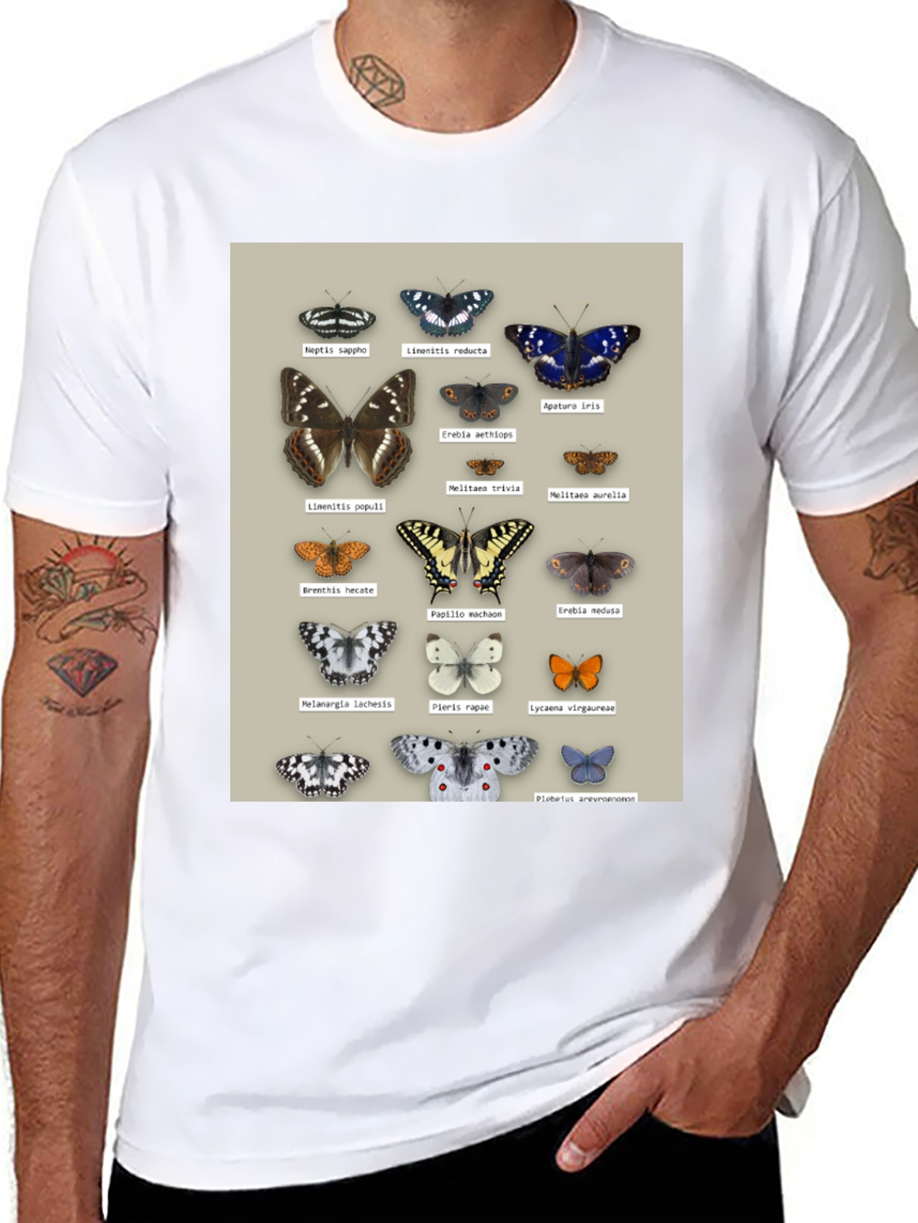 Black Butterfly Print T-Shirt | Nature Lover Apparel view 8