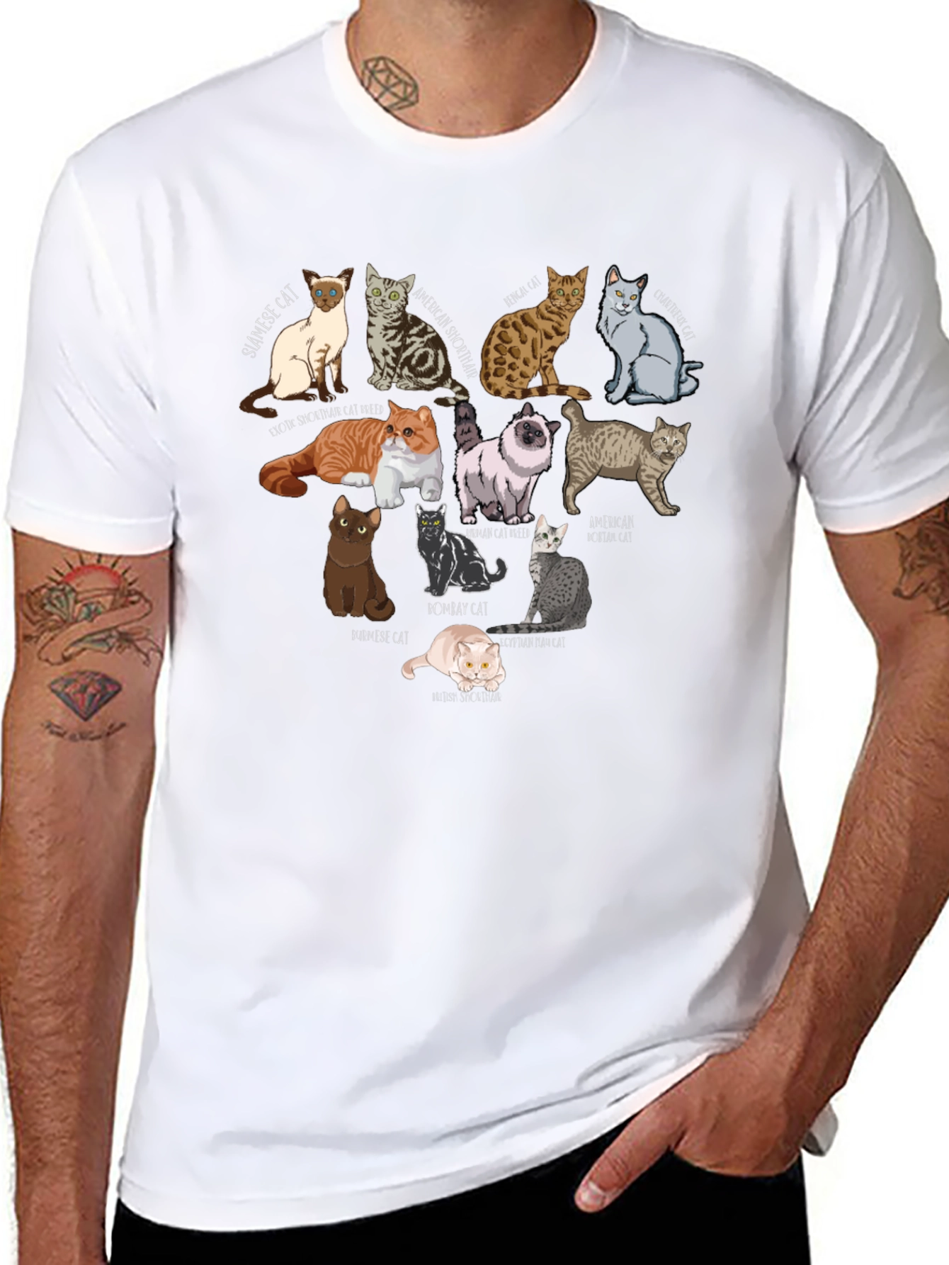 Black Cat Breeds Graphic T-Shirt - Unisex Black Tee view 8