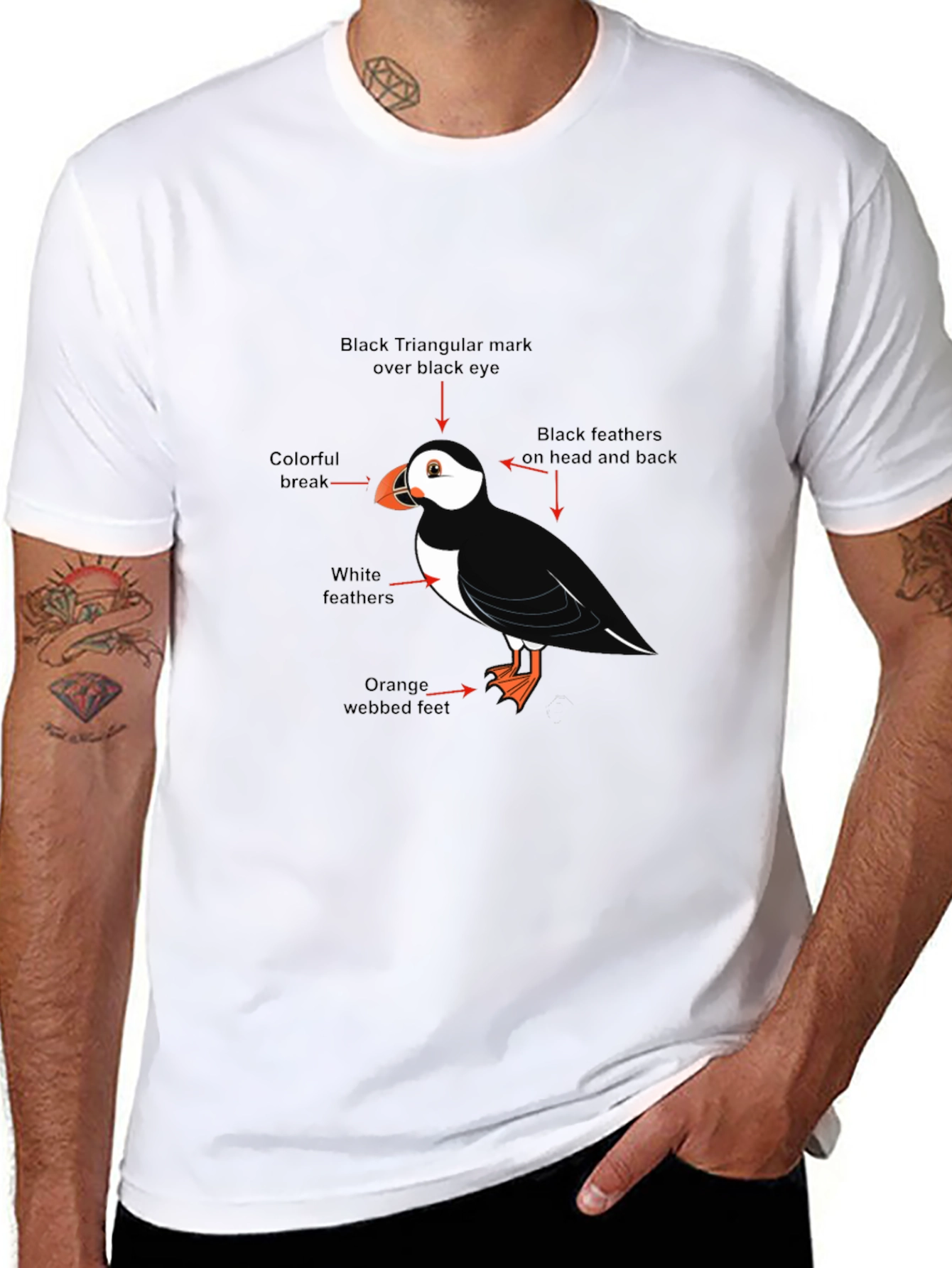Black Puffin Bird Graphic Tee - Black Cotton Blend T-Shirt view 8