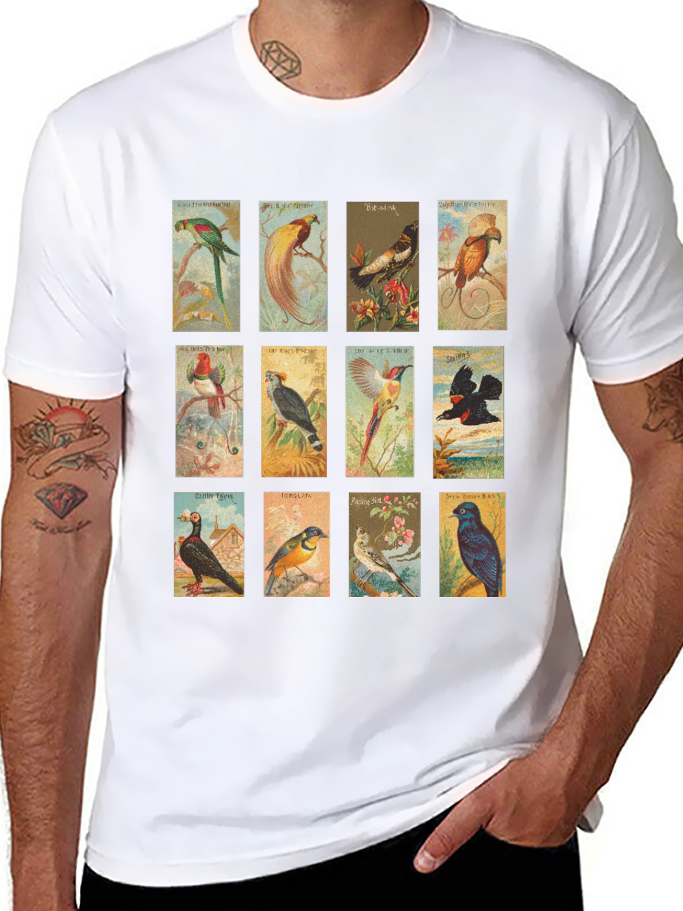 Black Vintage Birds Black T-Shirt view 8