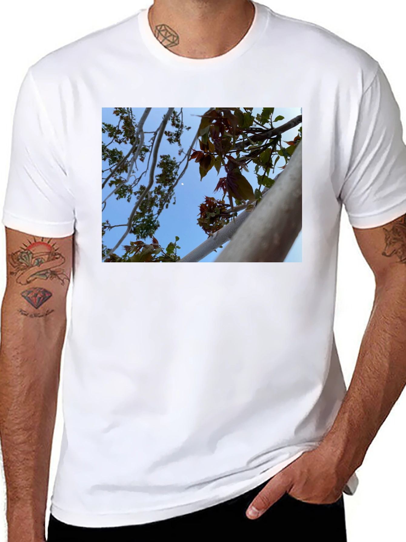 Black Nature View T-Shirt - Branches & Sky Design view 8