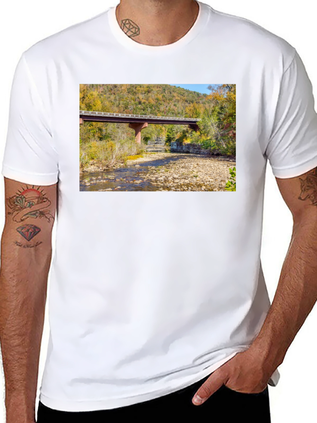 Black Nature Bridge Graphic Tee - Black Cotton Blend view 8