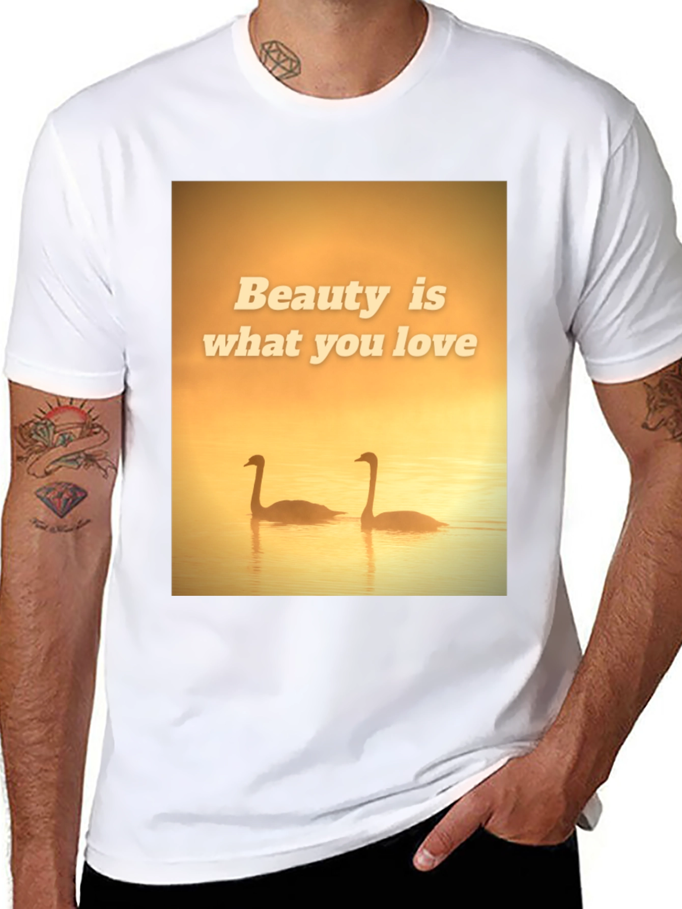 Black Beauty Swans Graphic T-Shirt view 8