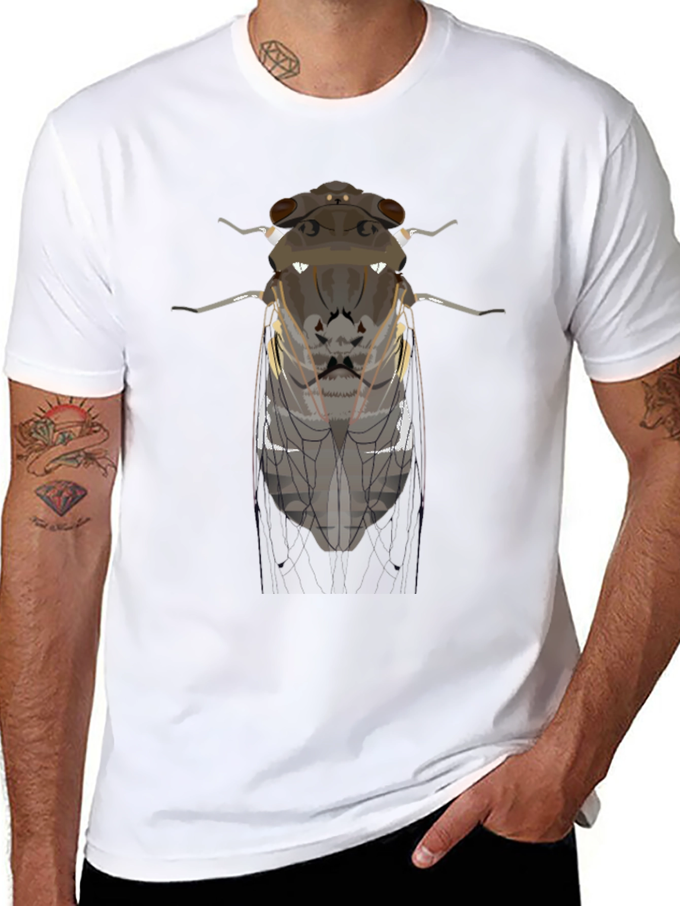 Black Cicada Graphic Tee - Entomologist Apparel view 8