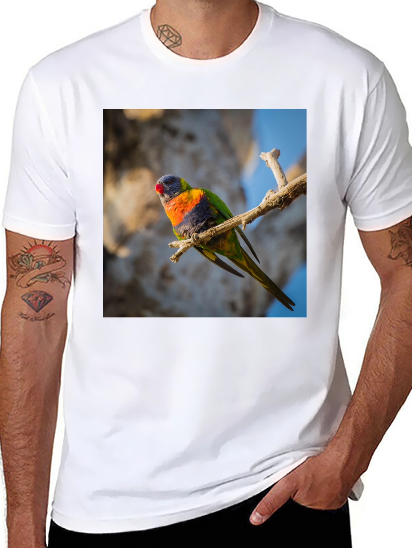Black Rainbow Lorikeet T-Shirt - Nature Inspired Apparel view 8