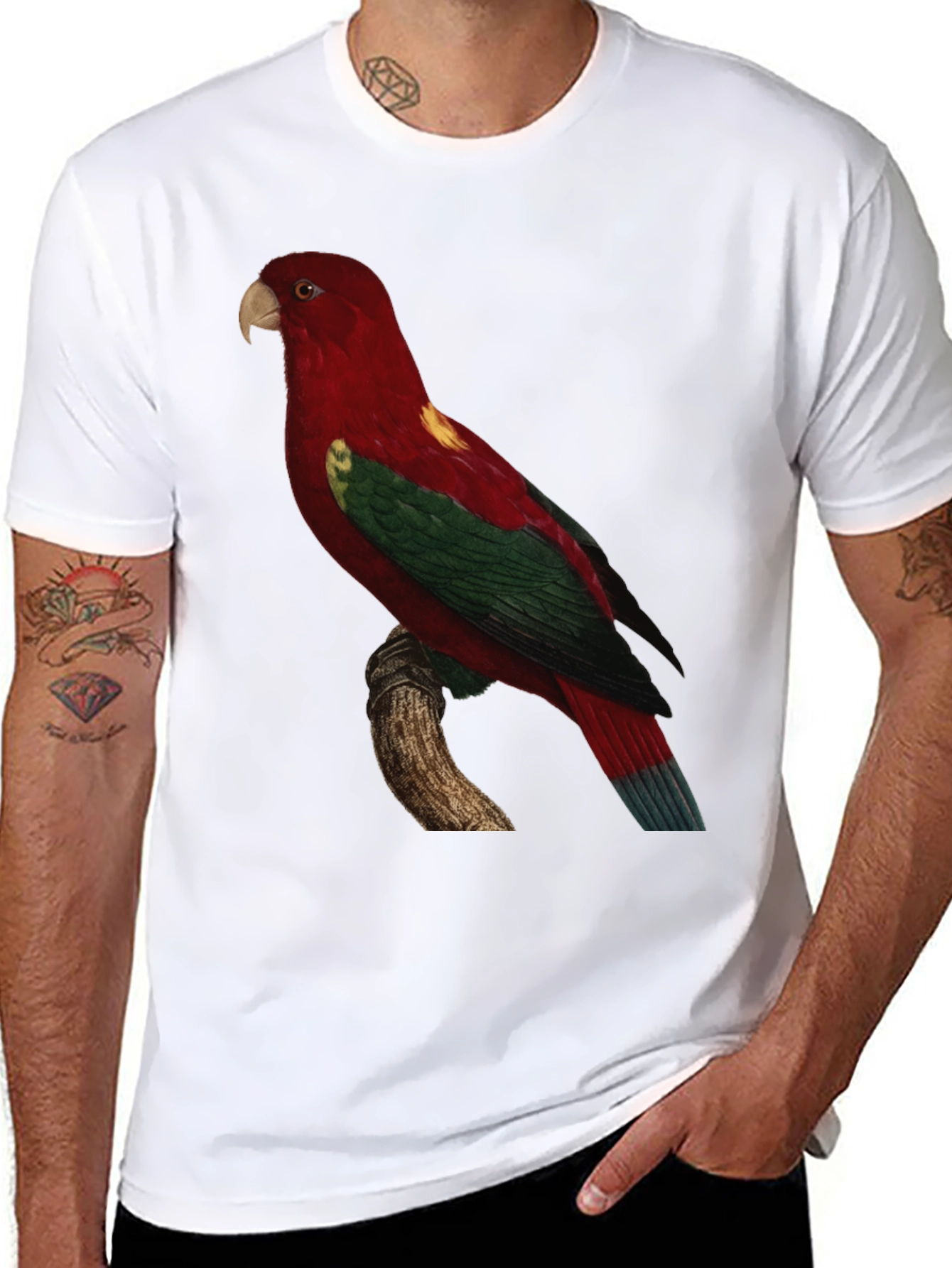Black Parrot Print Crewneck T-Shirt view 8