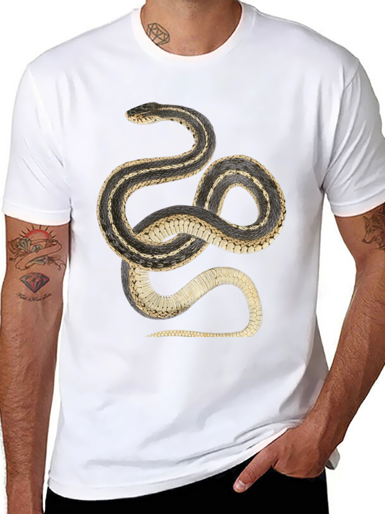 Black Snake Graphic T-Shirt - Black Cotton Tee view 8
