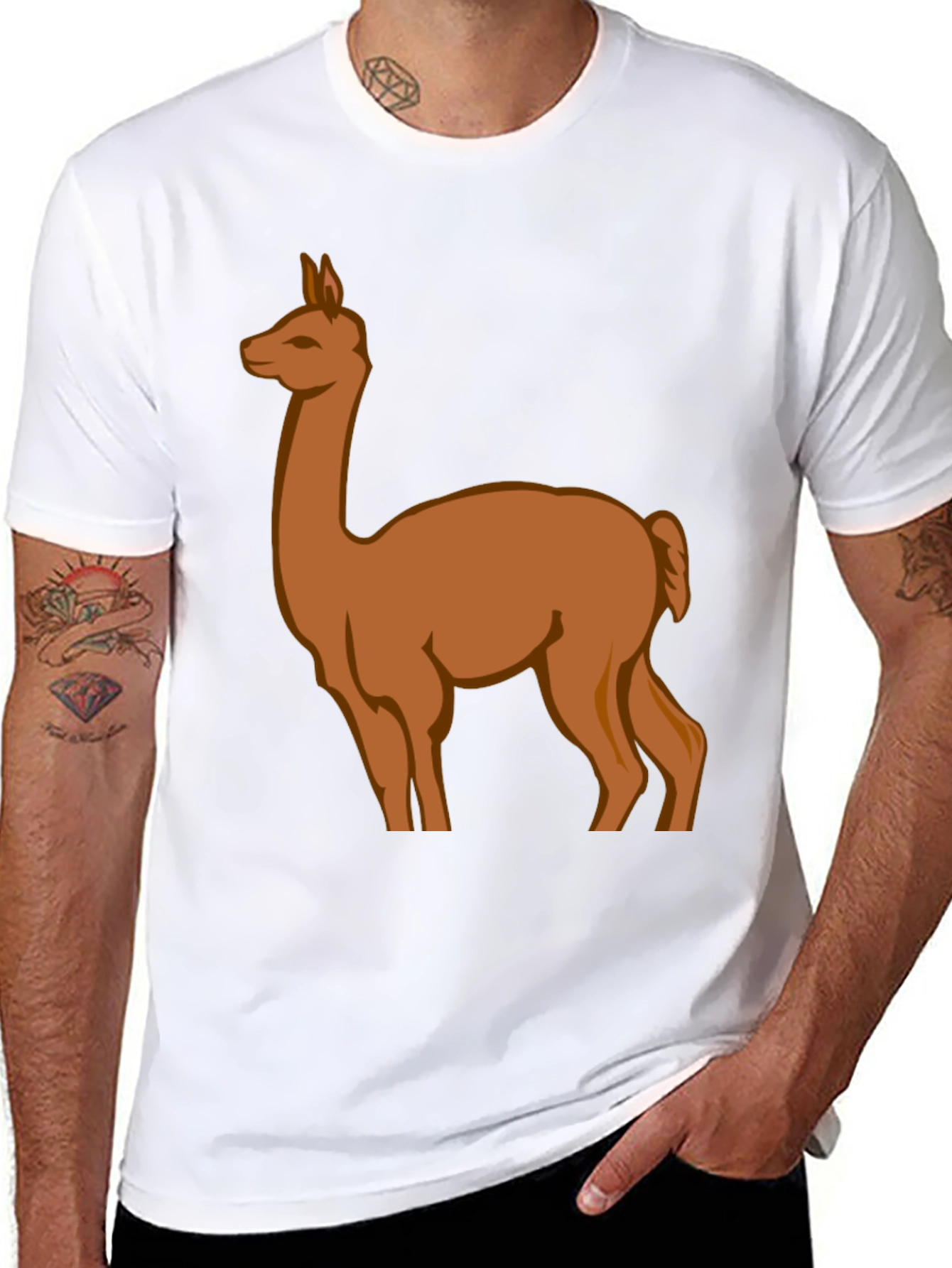 Black Llama Graphic Tee - Black Cotton Blend view 8