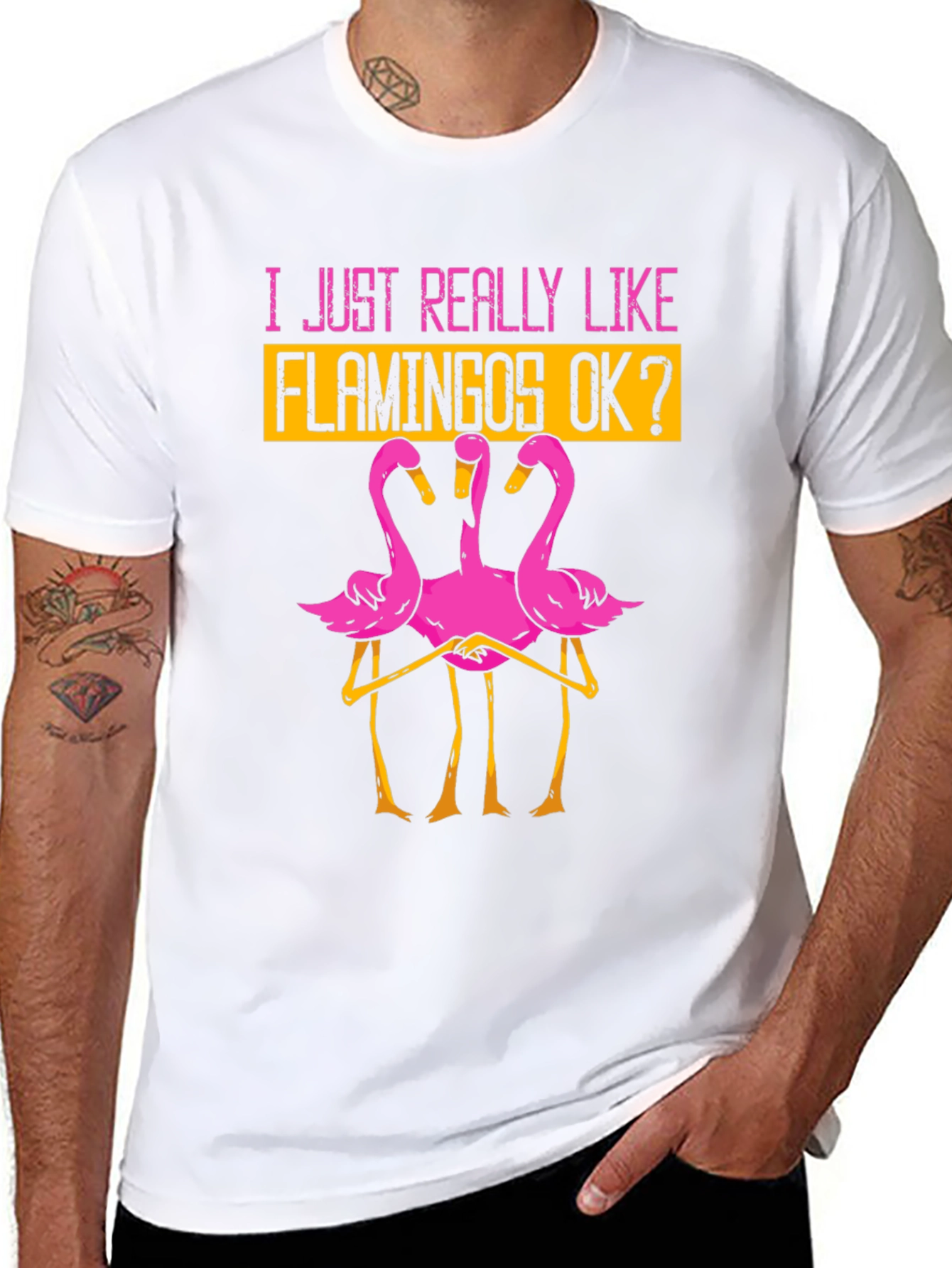Black Funny Flamingo Graphic T-Shirt - I Just Really Like Flamingos OK? view 8