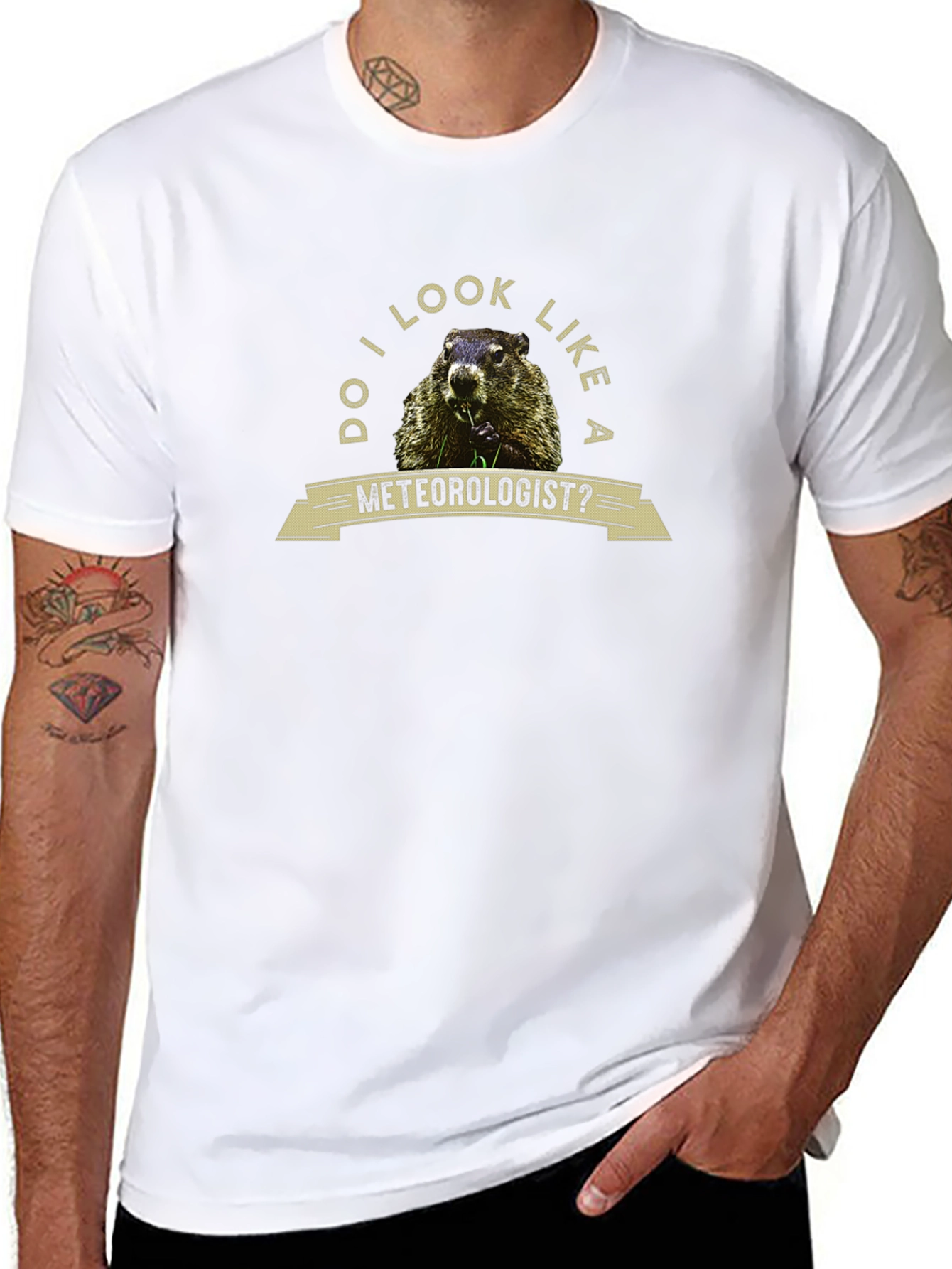 Black Funny Groundhog Meteorologist Graphic Tee view 8