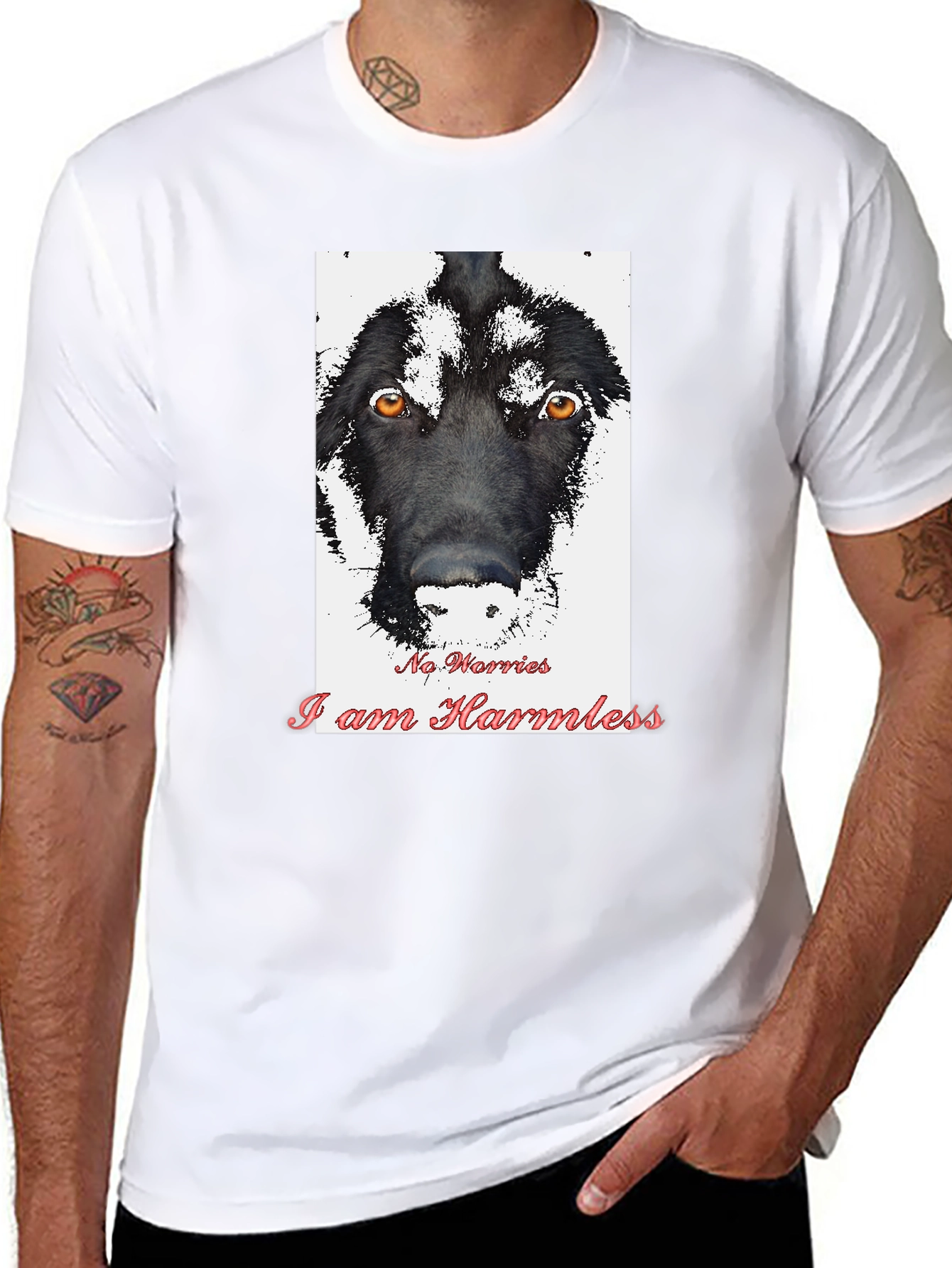 Black Harmless Dog Graphic T-Shirt view 8