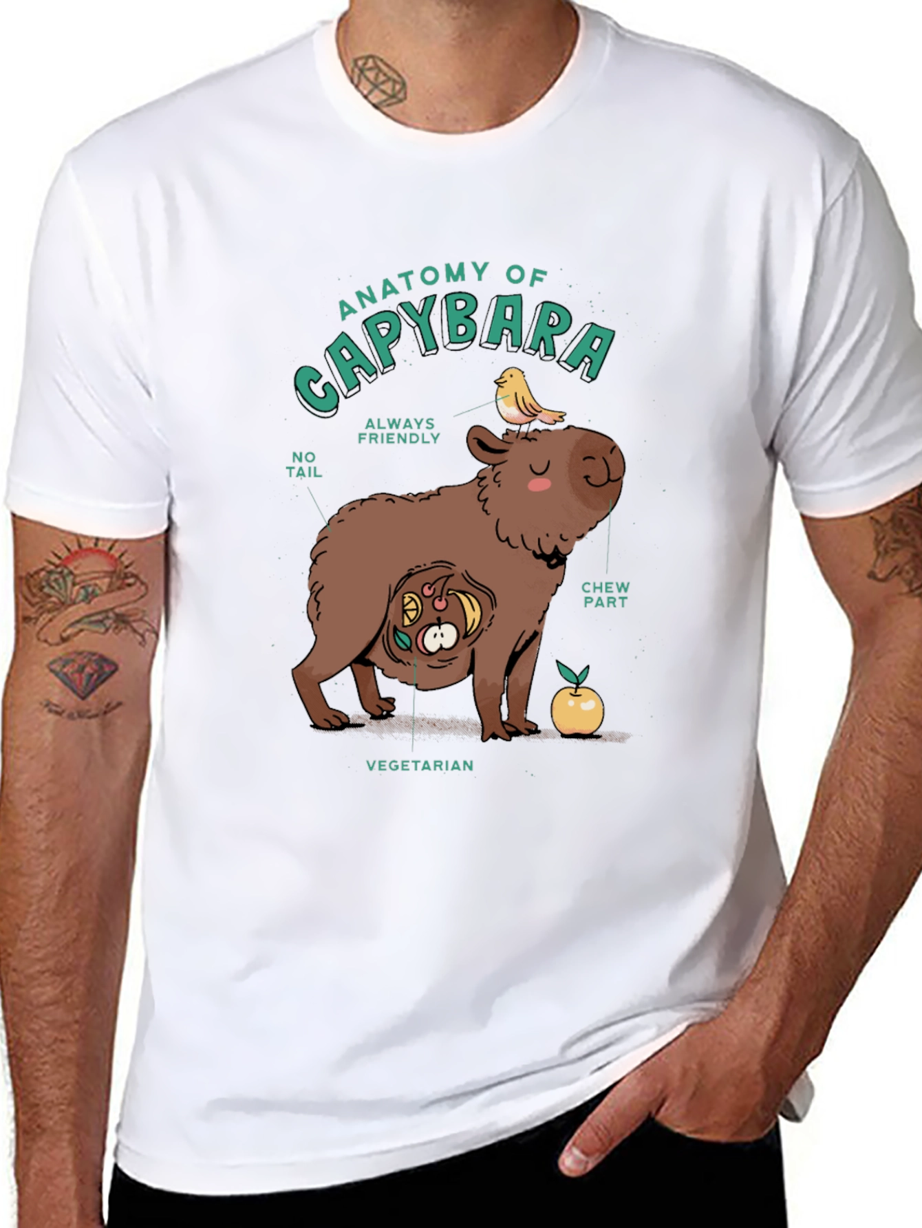 Black Anatomy of a Capybara Graphic T-Shirt view 8