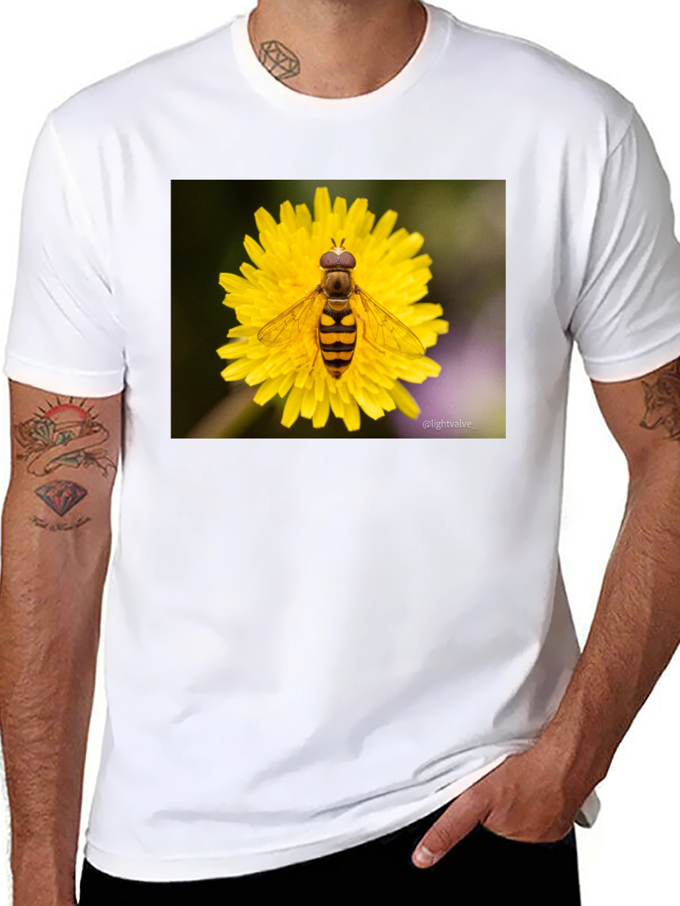 Black Bee on Flower Graphic Tee - Black Cotton T-Shirt view 8