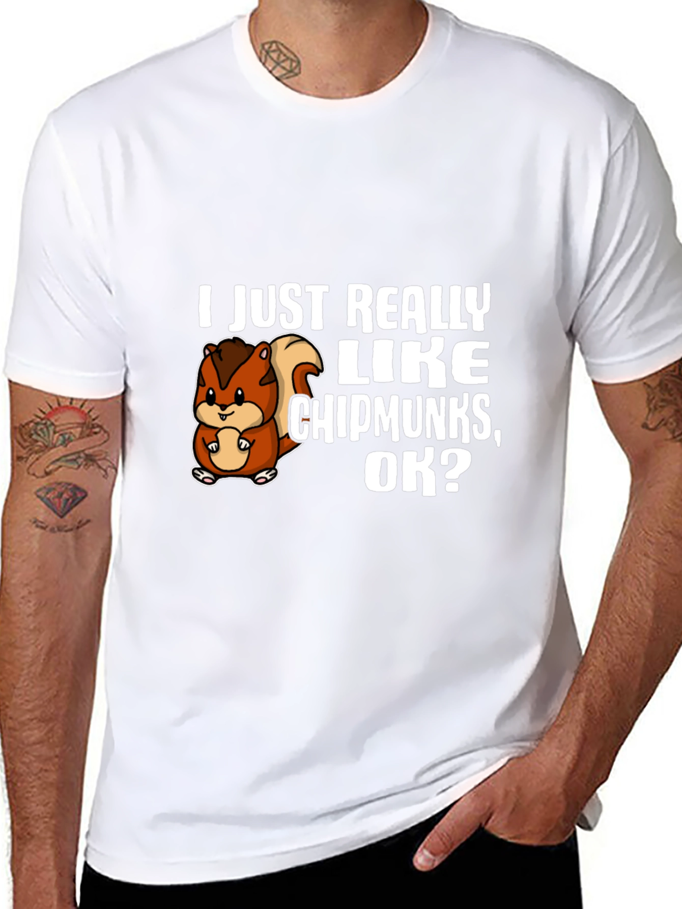 Black I Just Really Like Chipmunks, OK? T-Shirt view 8