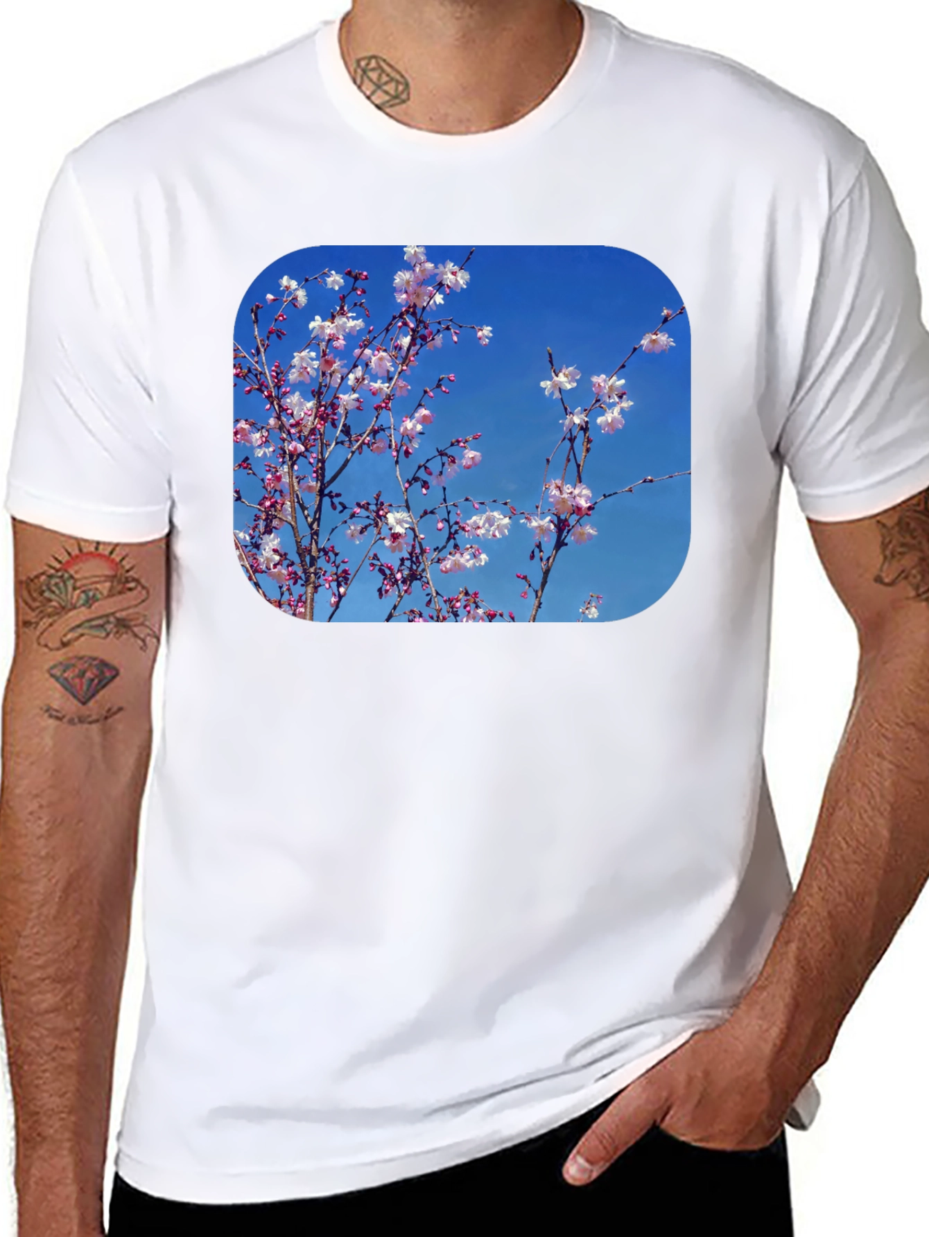 Black Blossom Tee - Black Cotton Blend with Floral Print view 8