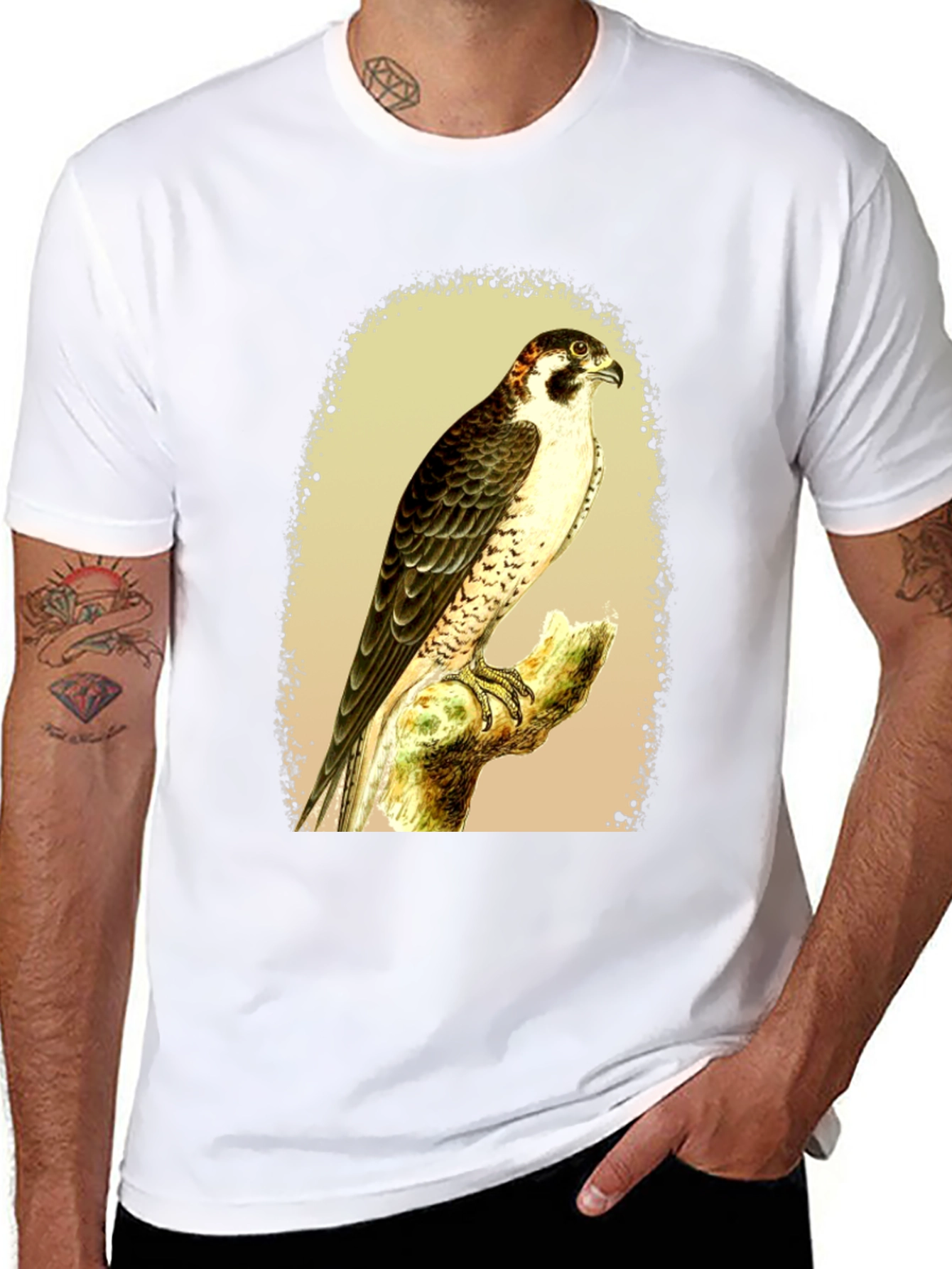 Black Falcon Graphic Tee - Vintage Bird Illustration T-Shirt view 8
