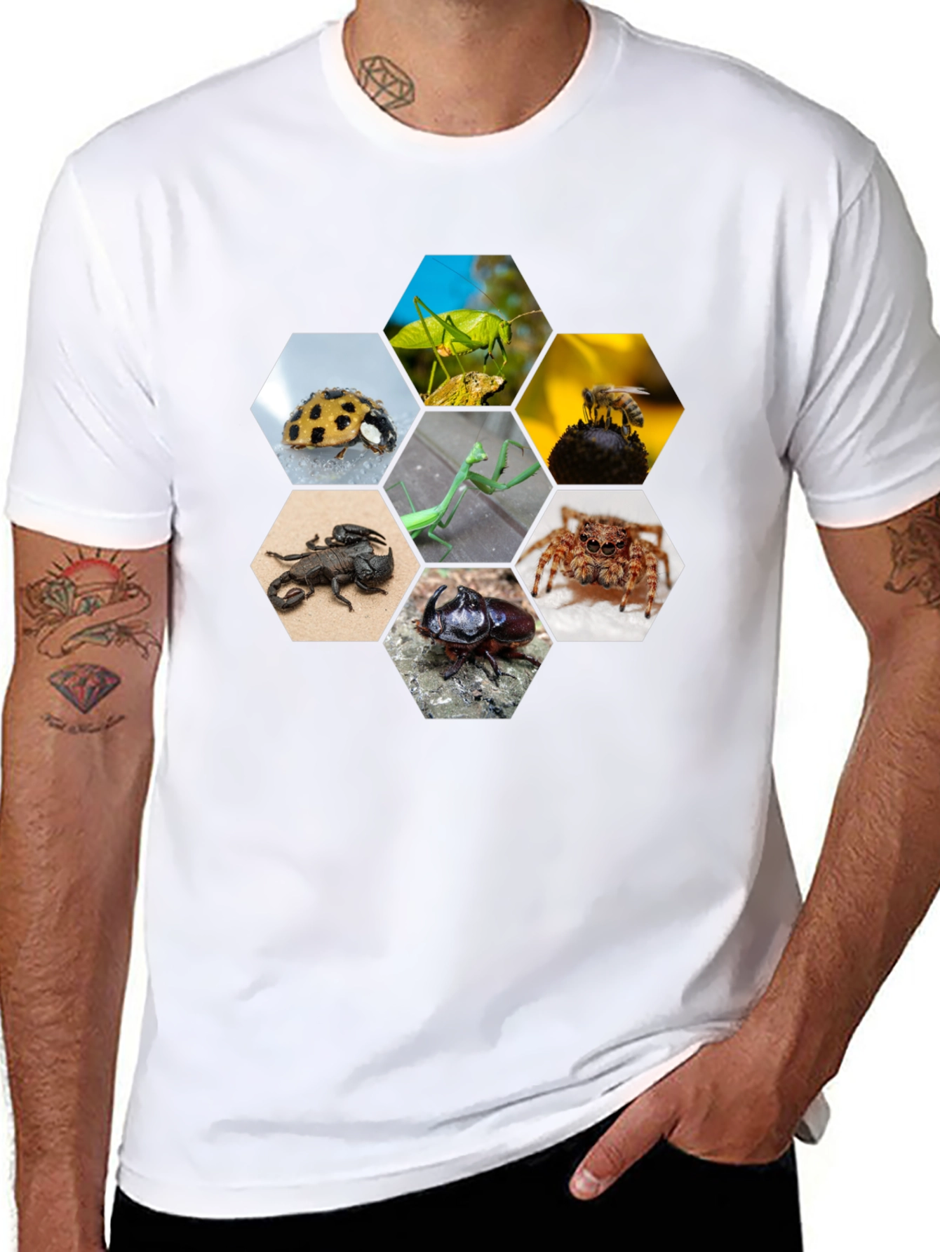 Black Insect Hexagon T-Shirt - Unique Nature Design view 8