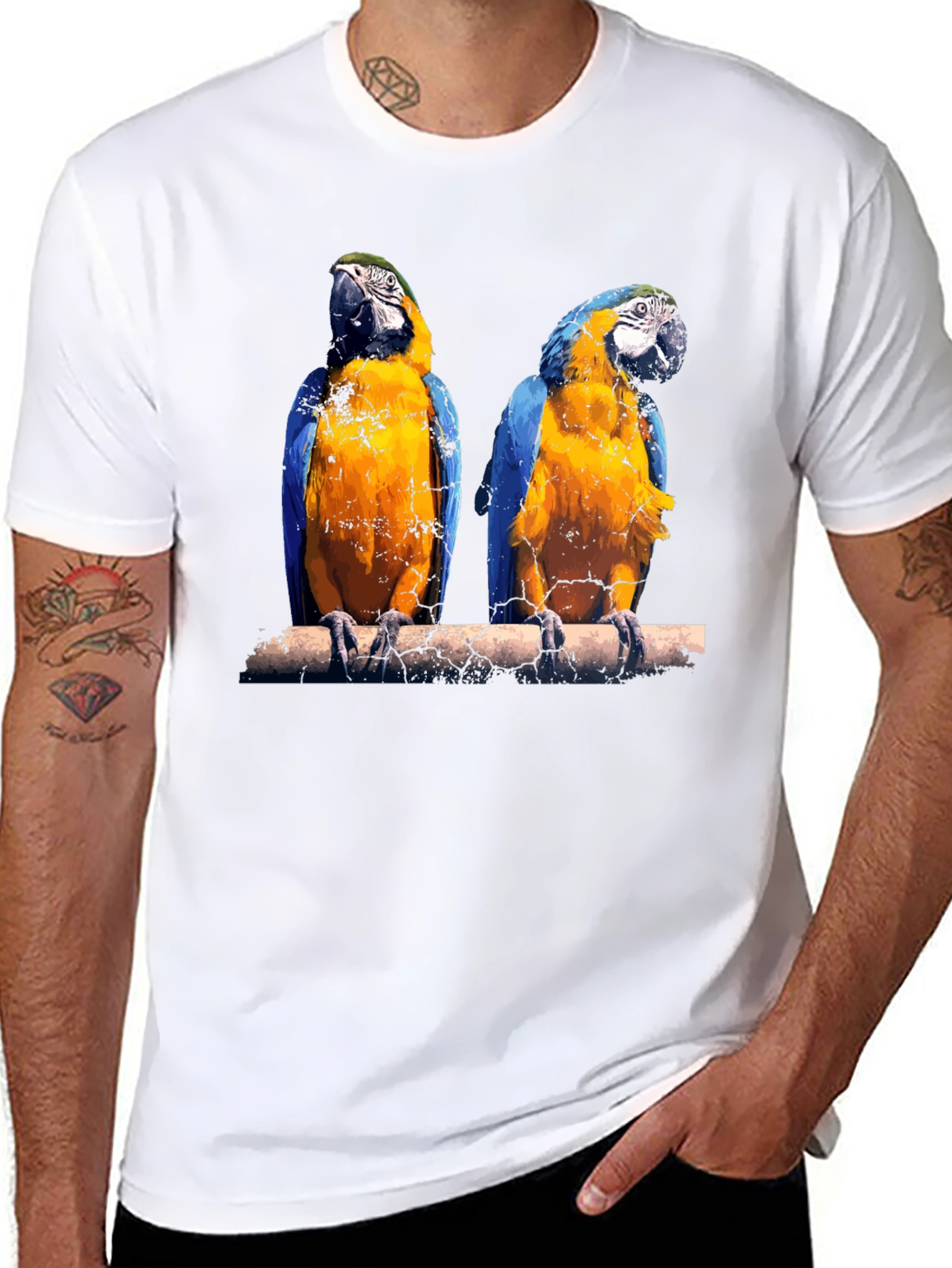 Black Parrot Graphic Tee - Vibrant Bird Print view 8