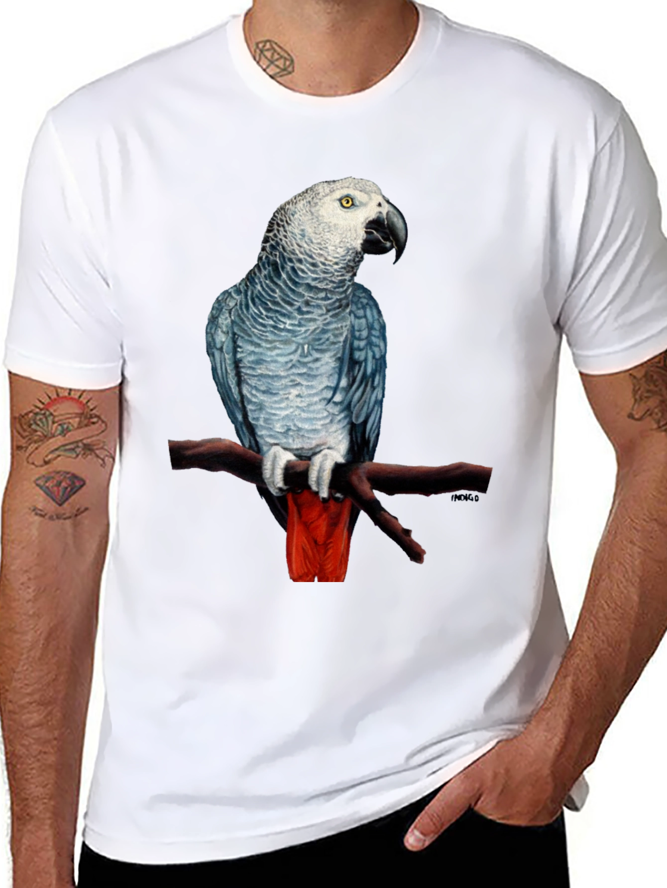 African Grey Parrot T-Shirt - 8