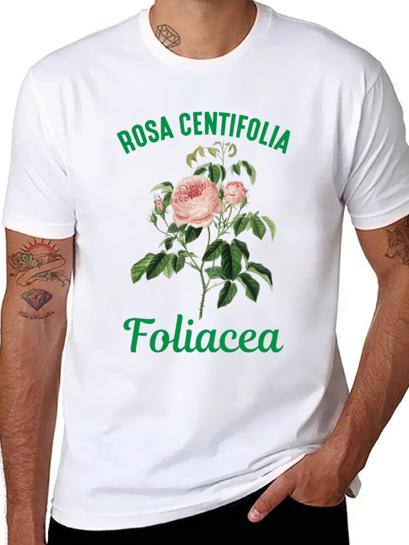 Black Rosa Centifolia Foliacea Graphic Tee view 8