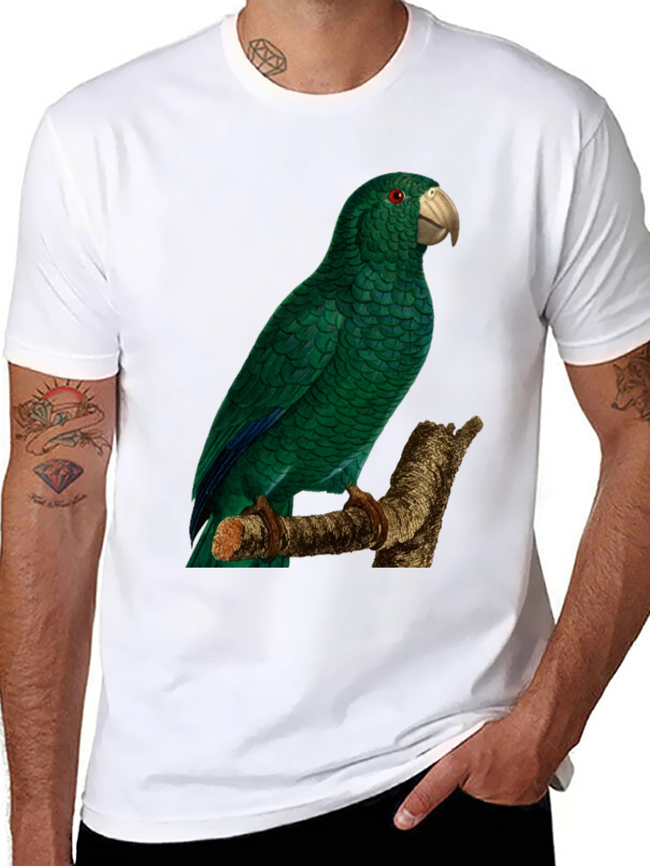 Black Green Parrot Graphic Tee - Nature Lover's Apparel view 8