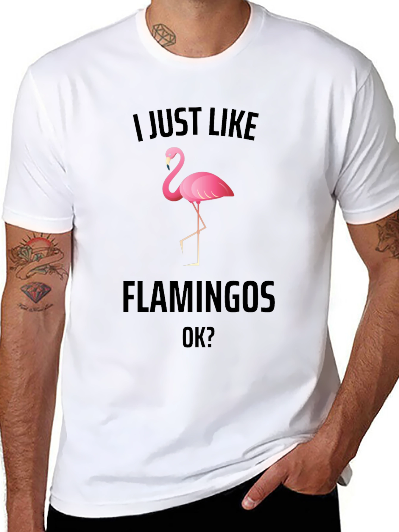 Black I Just Like Flamingos Graphic T-Shirt view 8