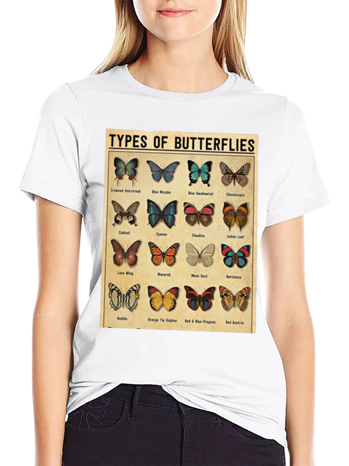 Black Butterfly Types Graphic T-Shirt view 9
