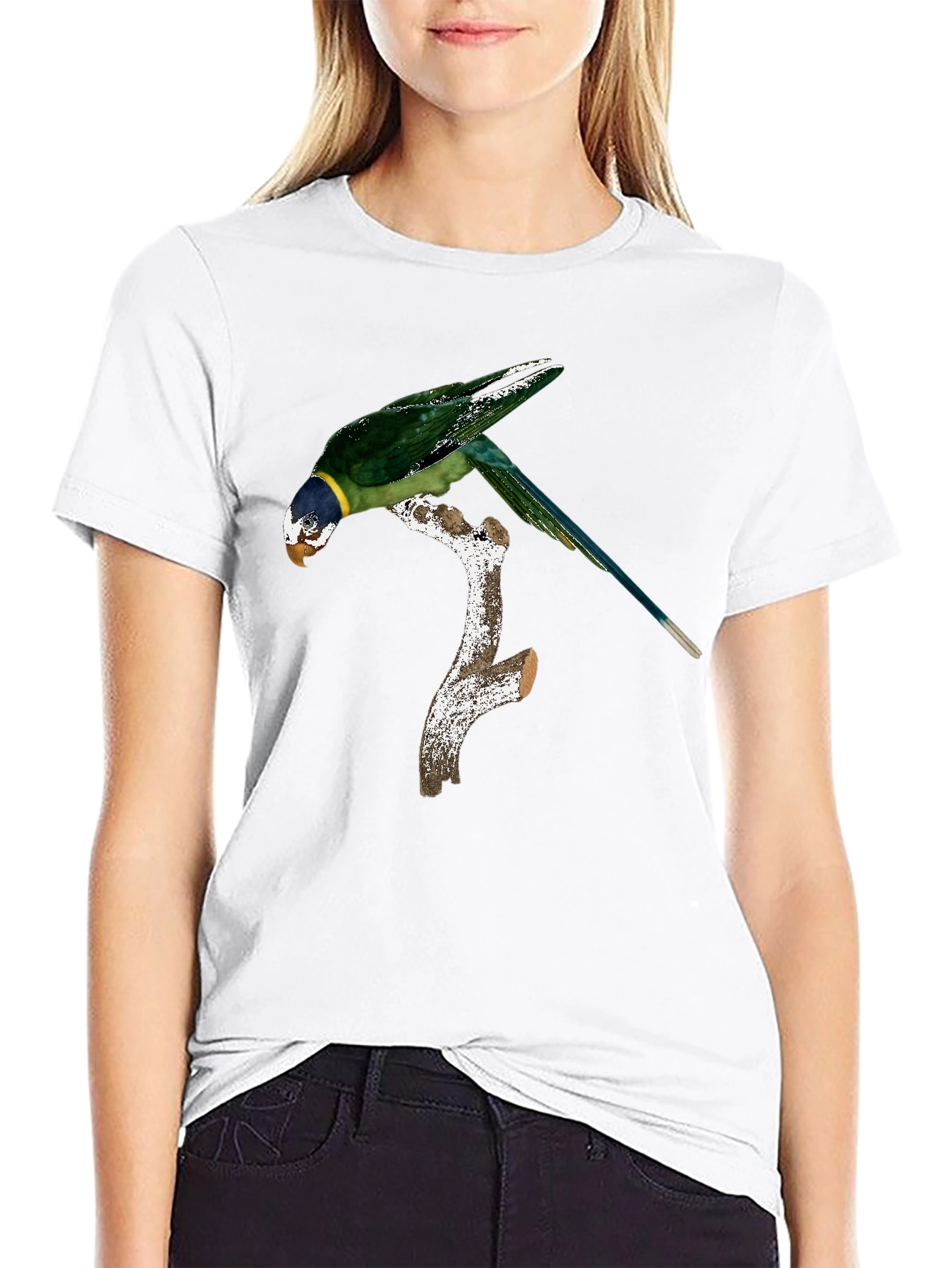 Black Parrot on Branch Graphic Tee - Black Cotton Blend Shirt view 9