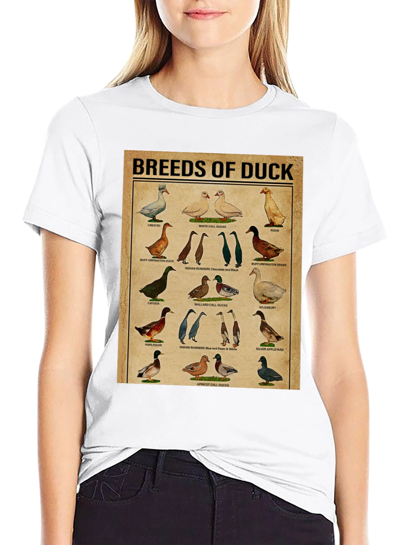 Black Breeds of Duck T-Shirt - Bird Lover Gift view 9