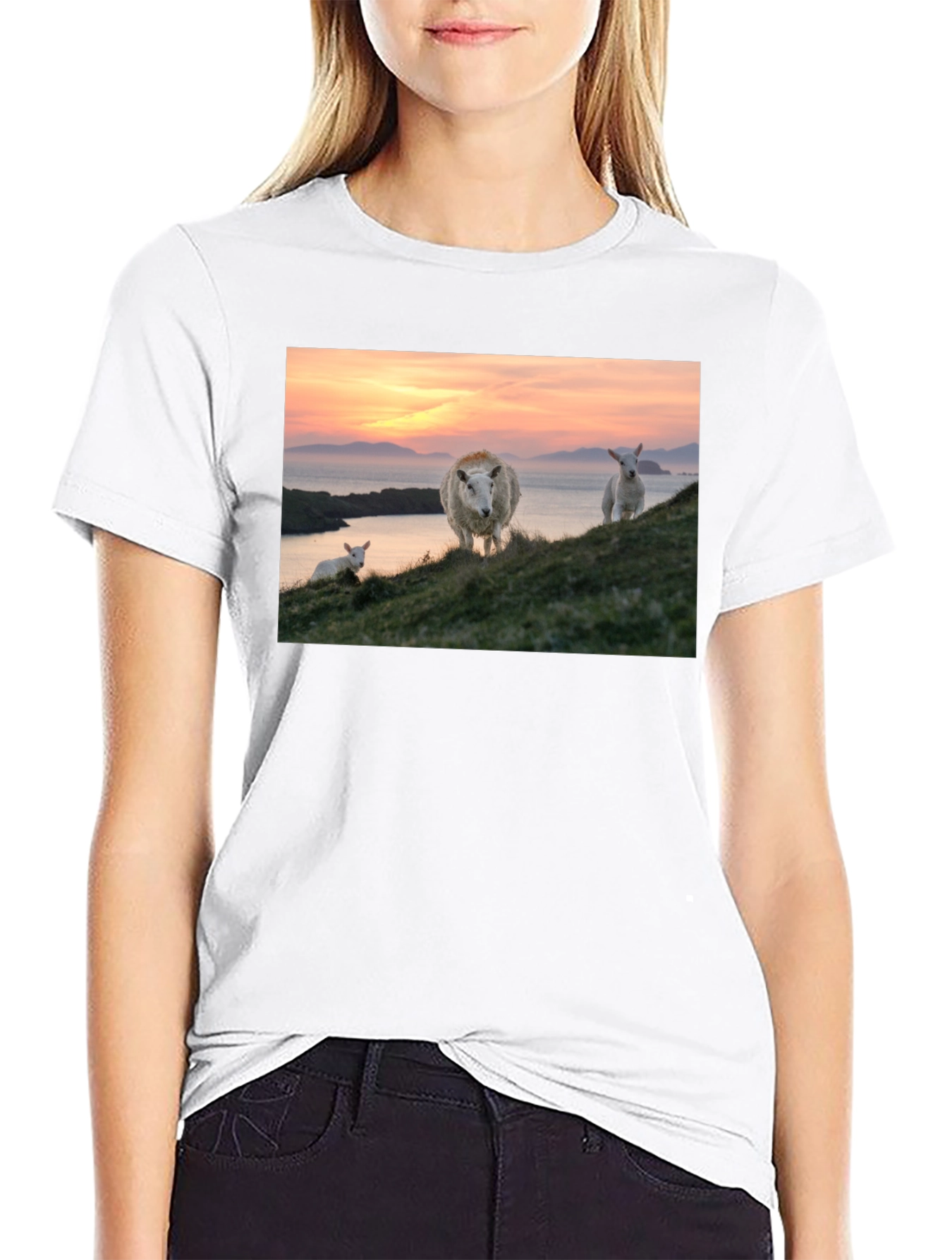 Black Scenic Sheep Graphic Tee - Black Cotton Blend view 9