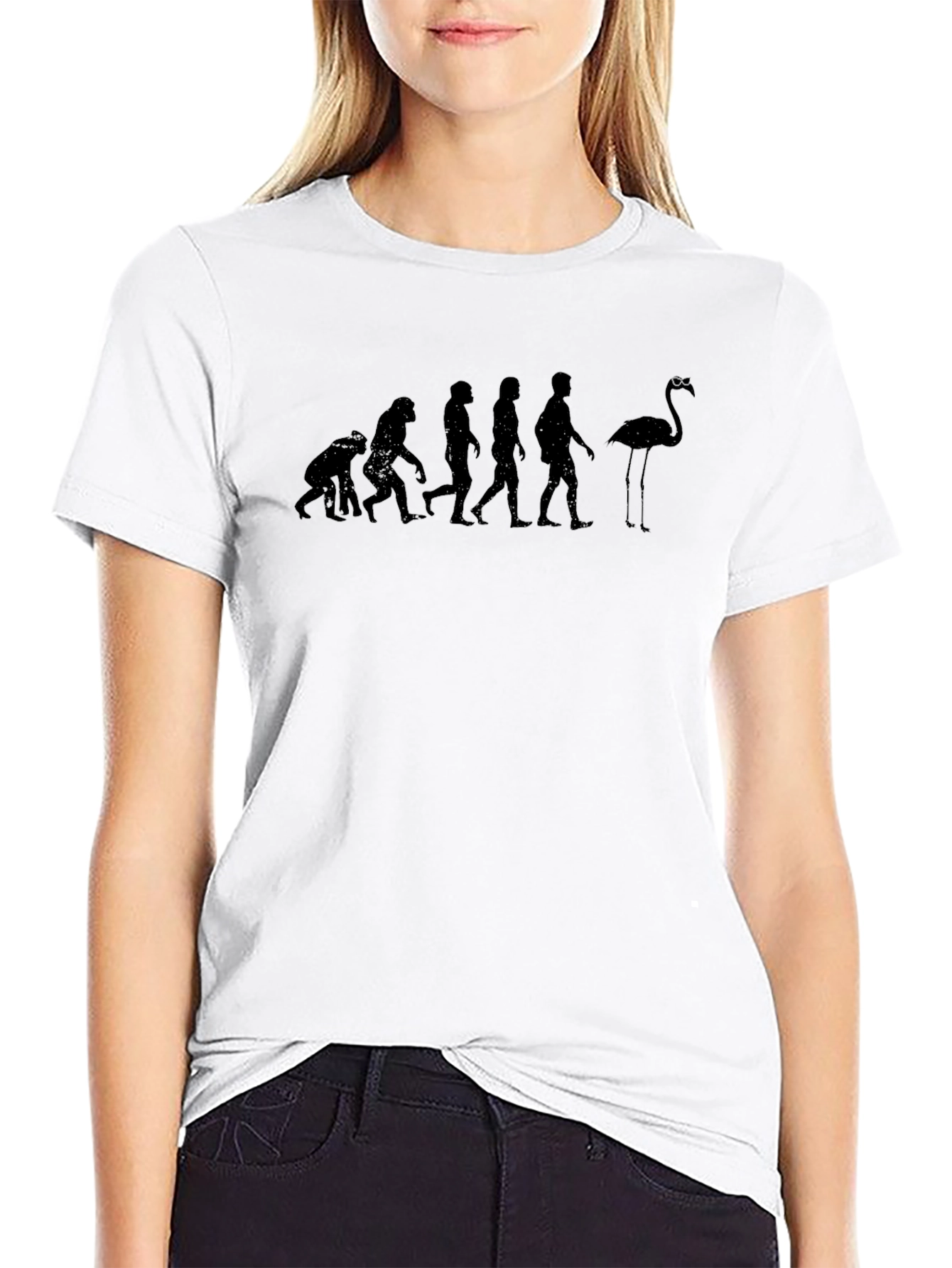 Black Evolution of Flamingo T-Shirt - Humorous Graphic Tee view 9