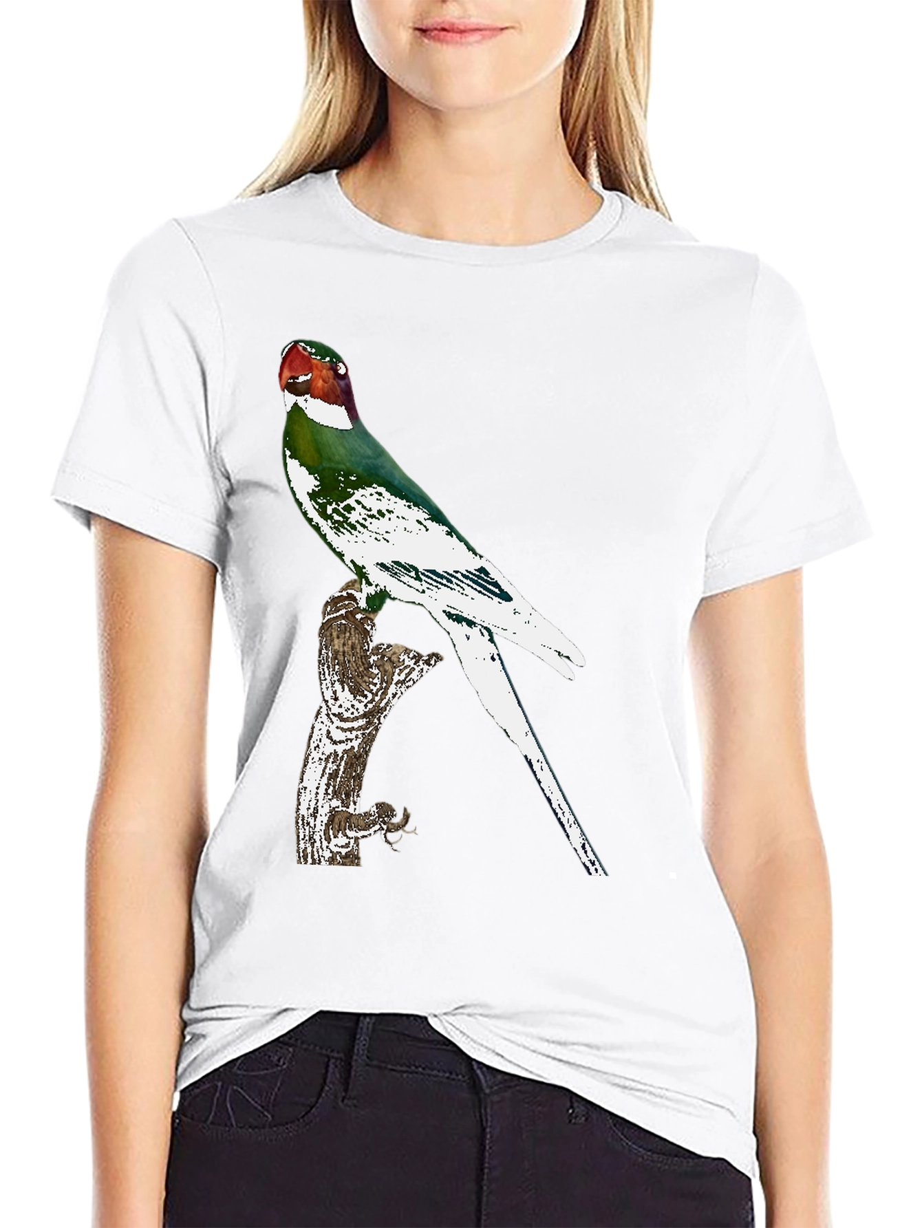 Black Parrot Graphic Tee - Black Cotton T-Shirt view 9