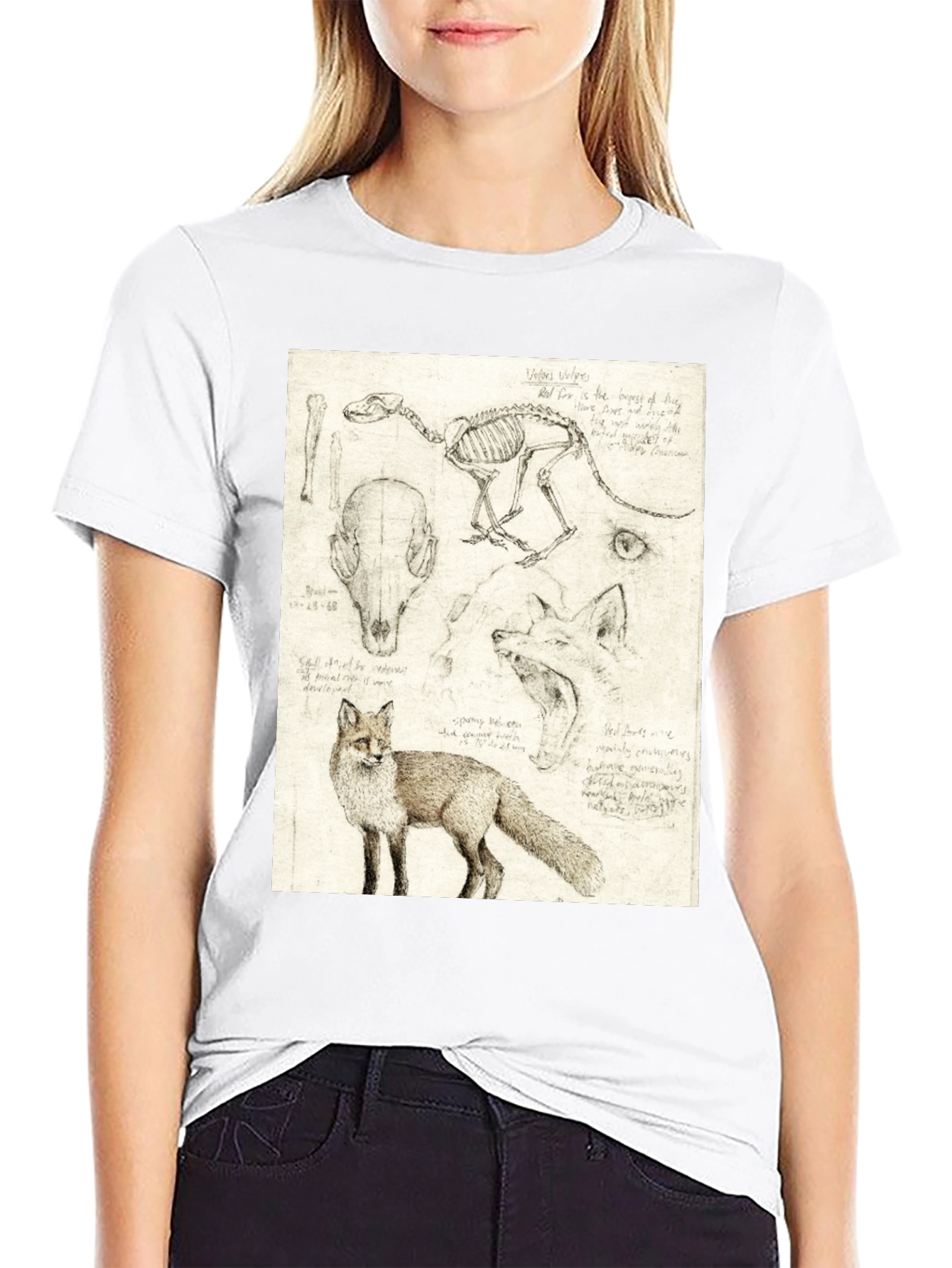 Black Anatomical Fox Print Tee - Artistic Unisex T-Shirt view 9