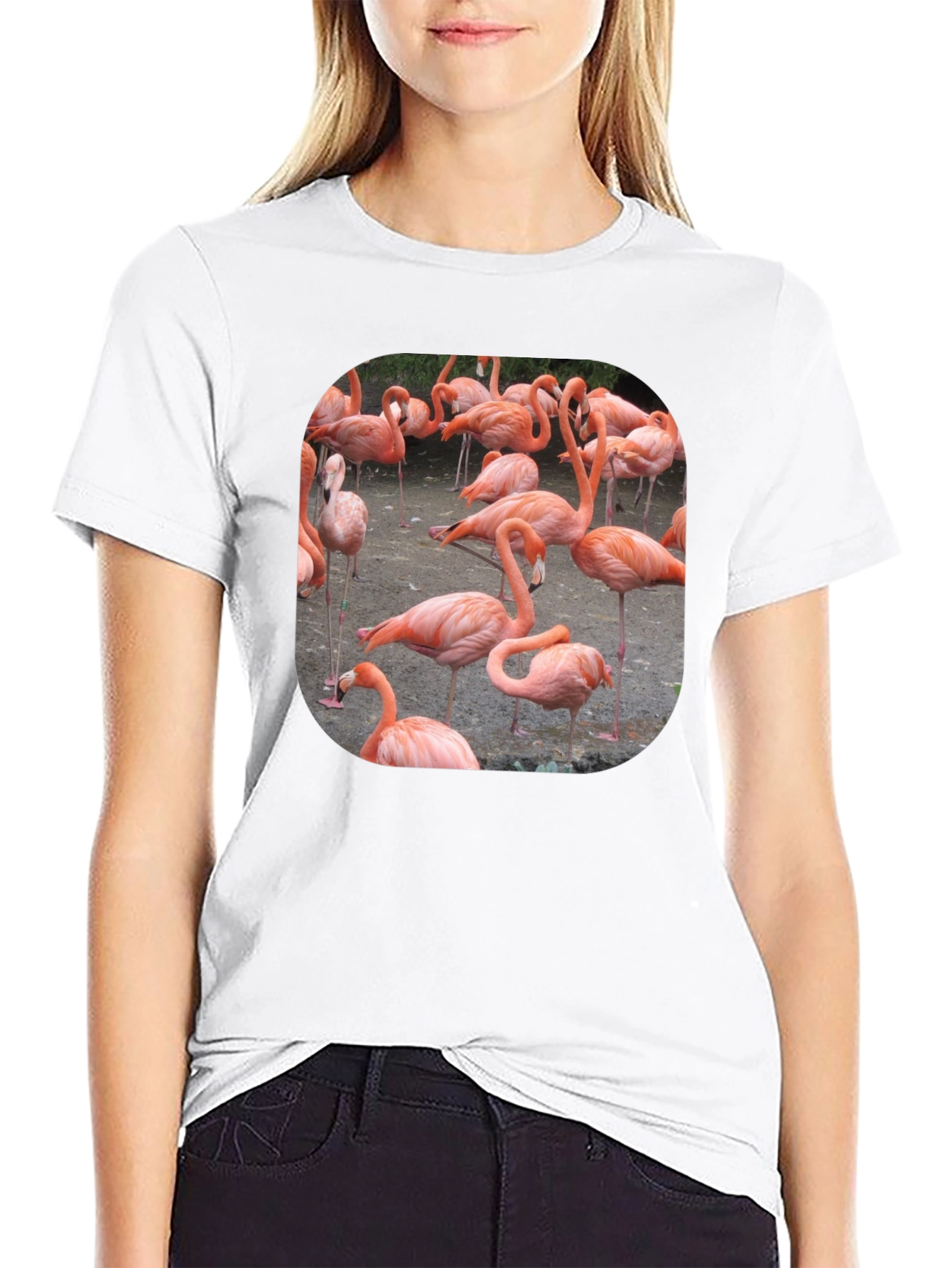 Black Flamingo Graphic Tee - Tropical Bird T-Shirt view 9